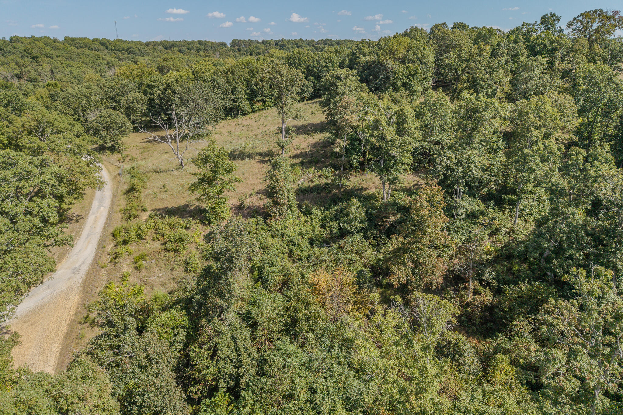 000 White Clover Road Property Photo 23
