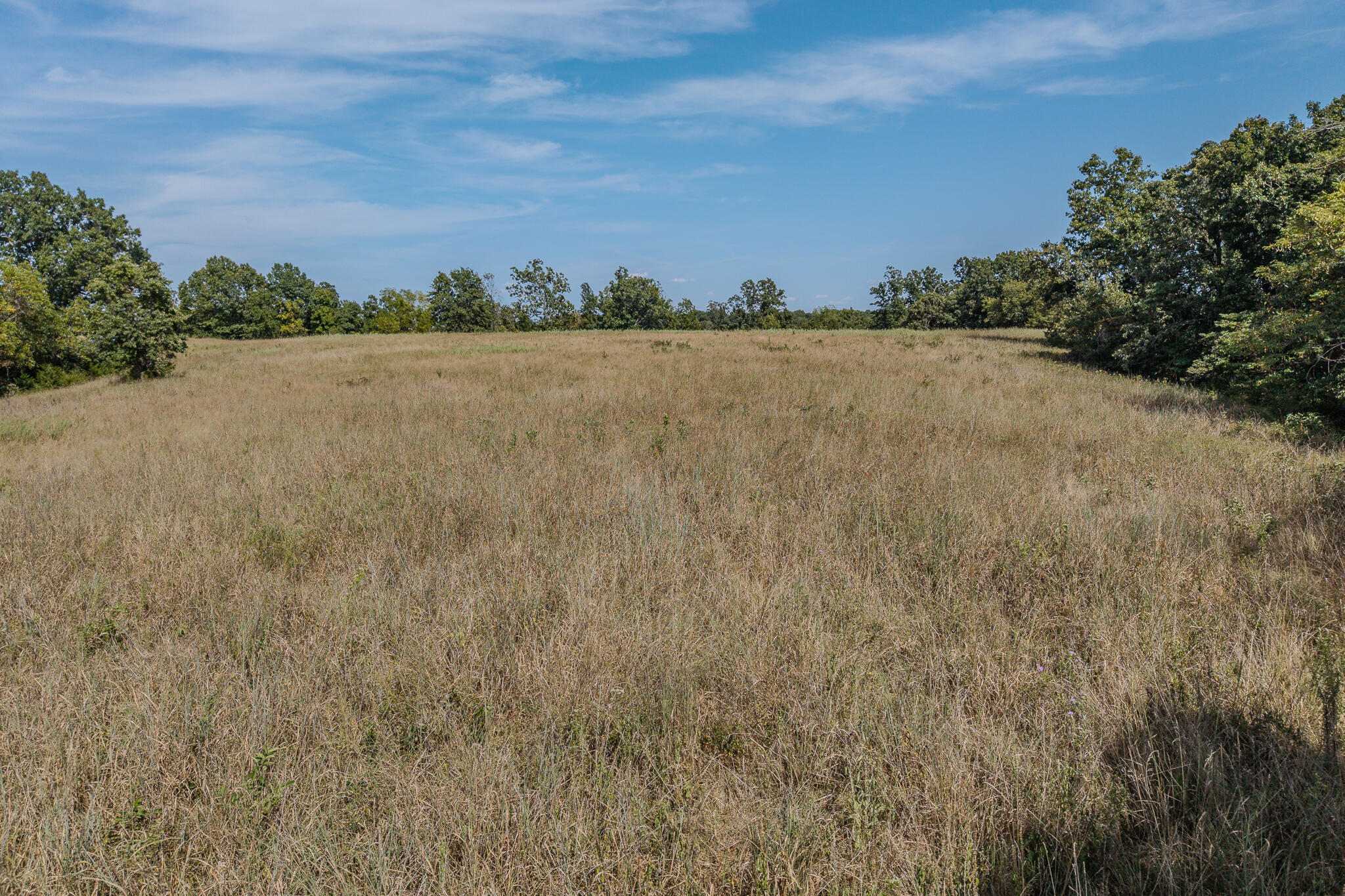000 White Clover Road Property Photo 23