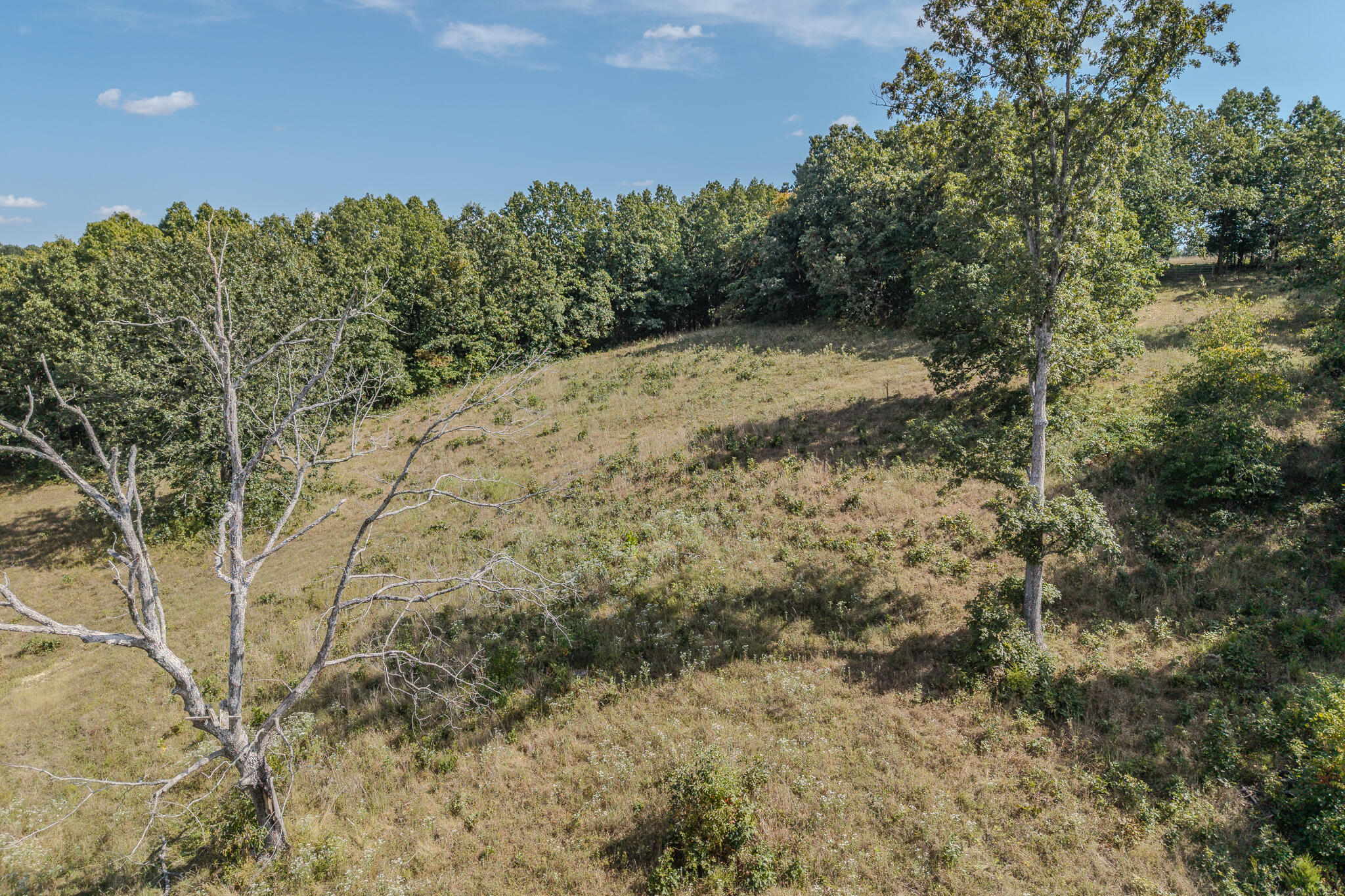 000 White Clover Road Property Photo 24