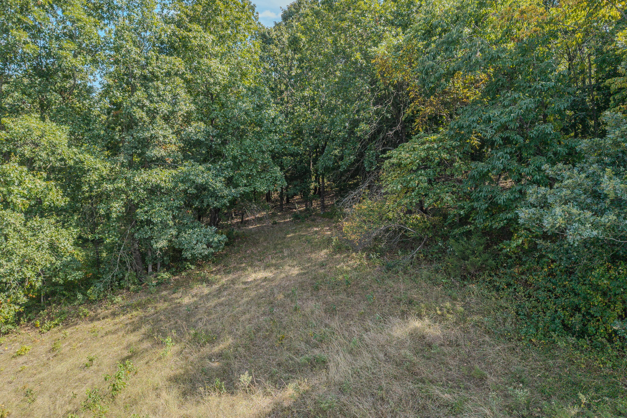 000 White Clover Road Property Photo 26