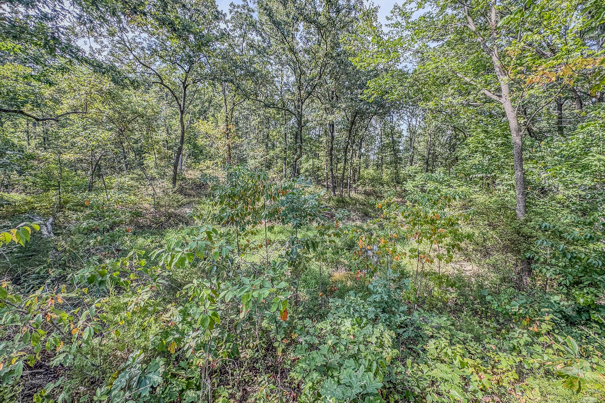 000 White Clover Road Property Photo 29