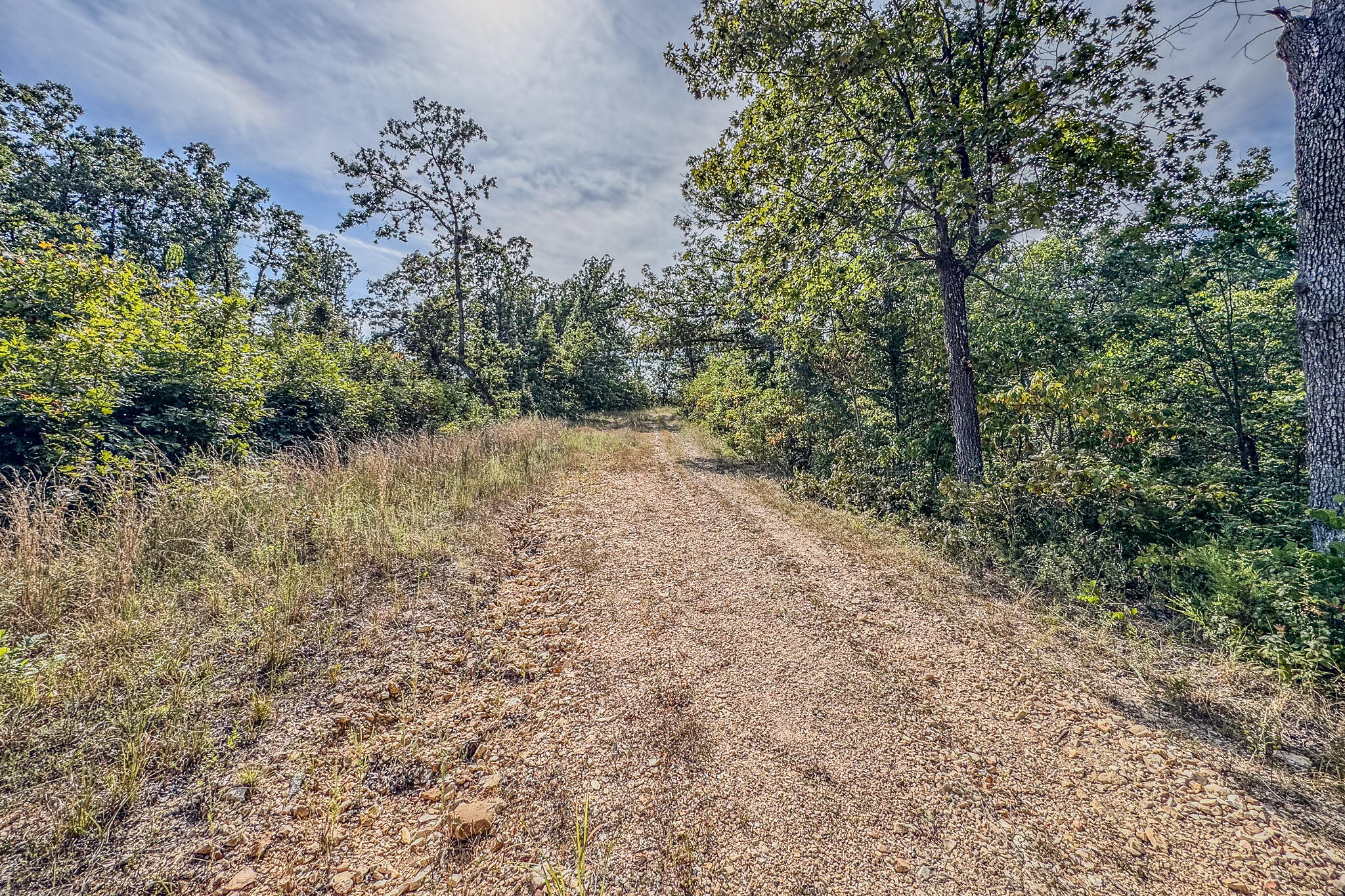 000 White Clover Road Property Photo 30