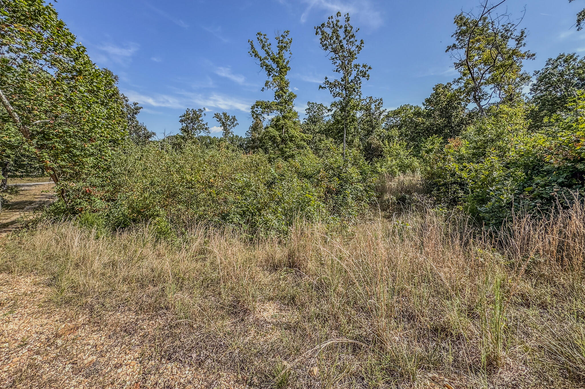 000 White Clover Road Property Photo 31