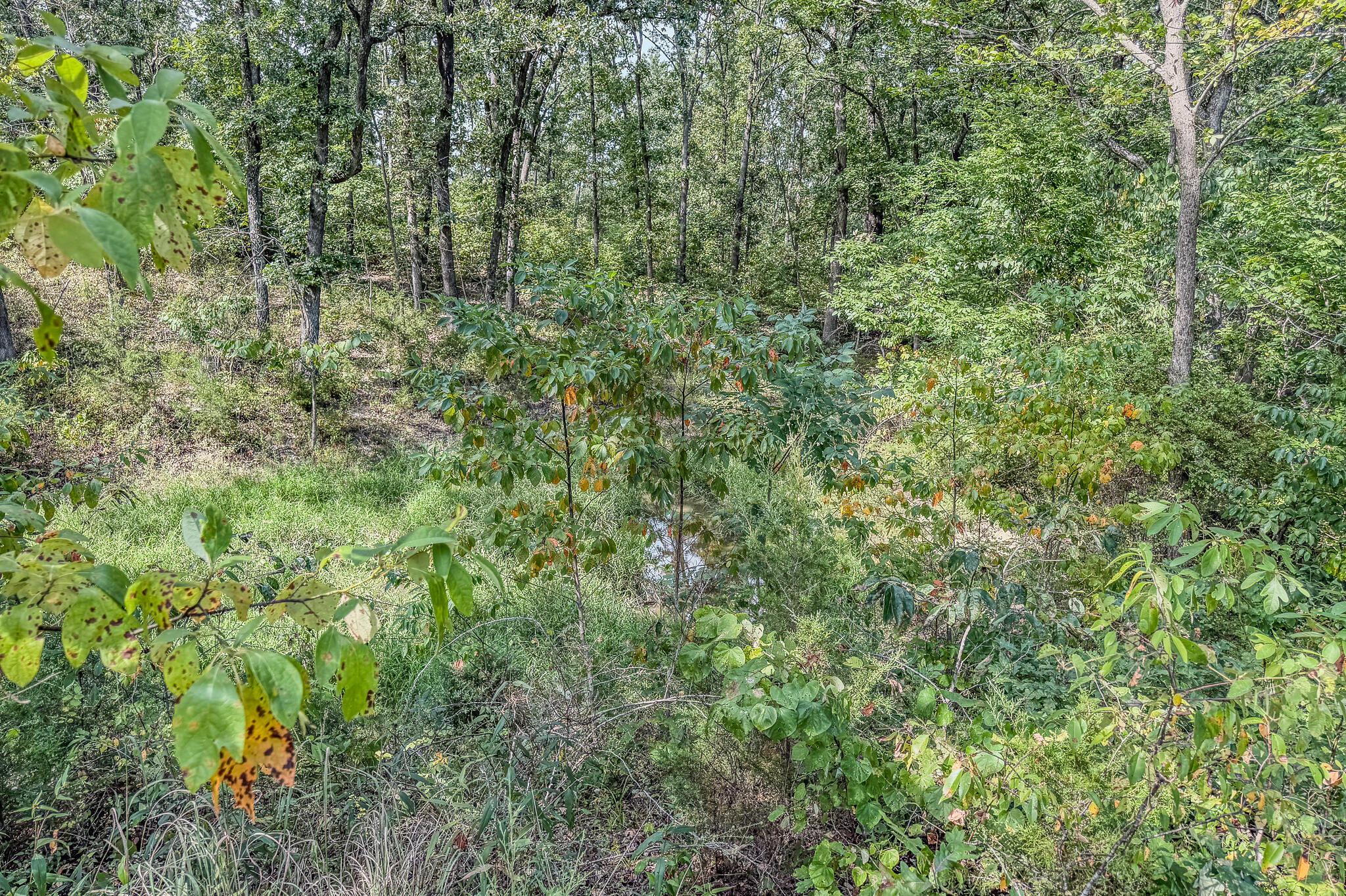 000 White Clover Road Property Photo 32