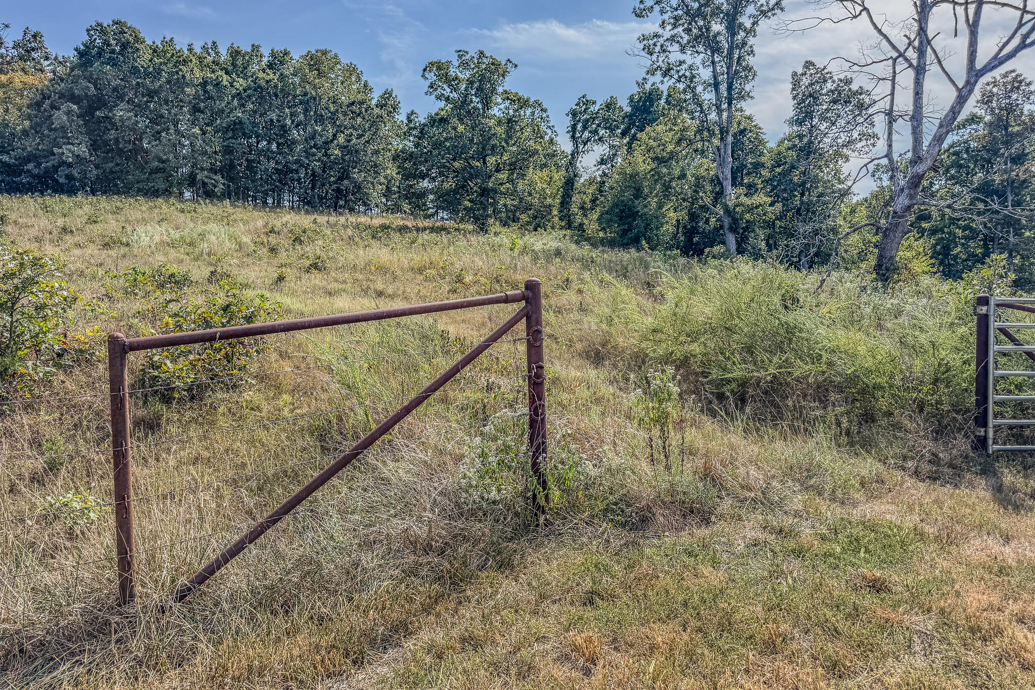 000 White Clover Road Property Photo 33