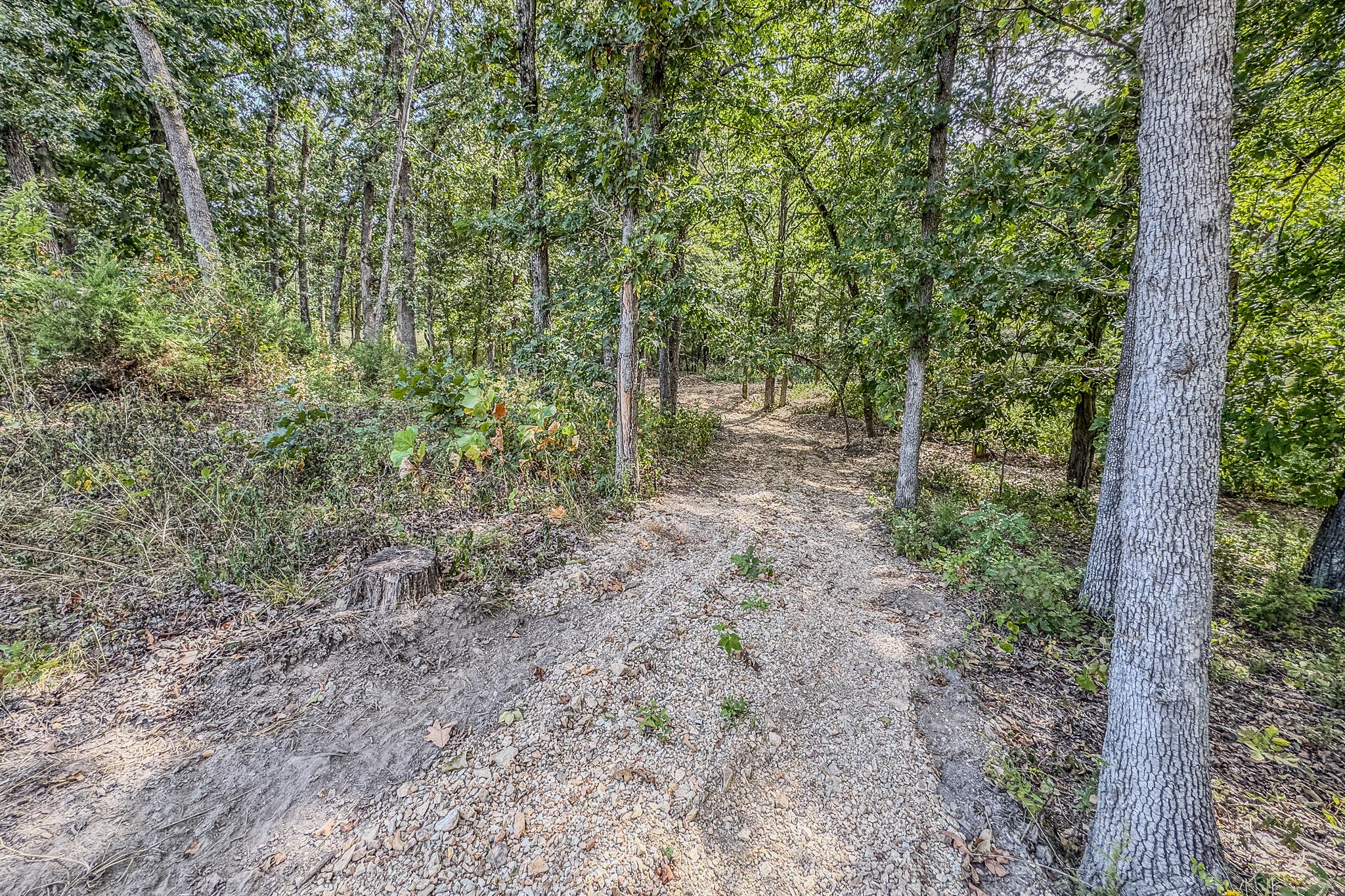 000 White Clover Road Property Photo 36