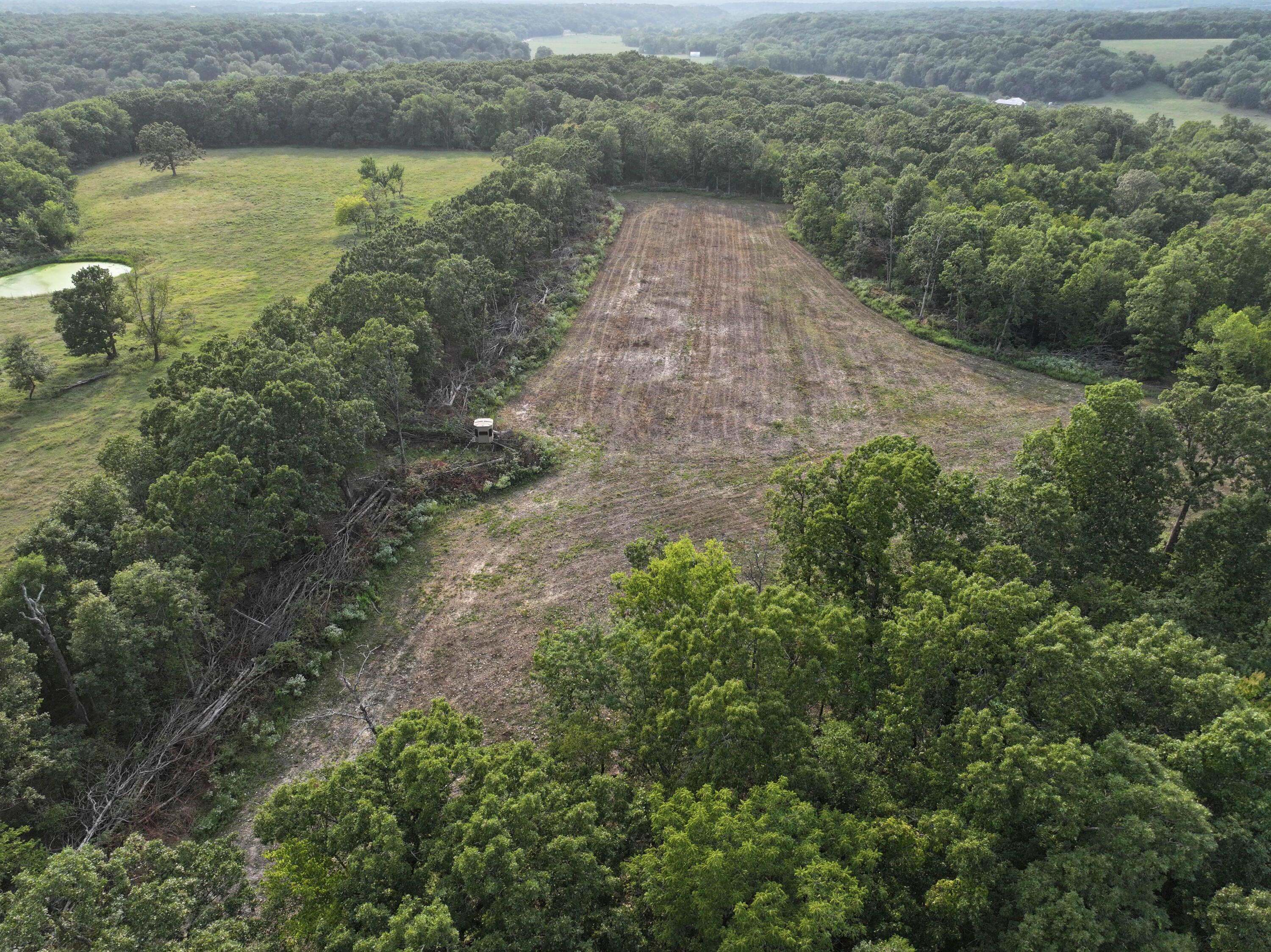 000 Old 60 Drive- Tract 1 Property Photo 1