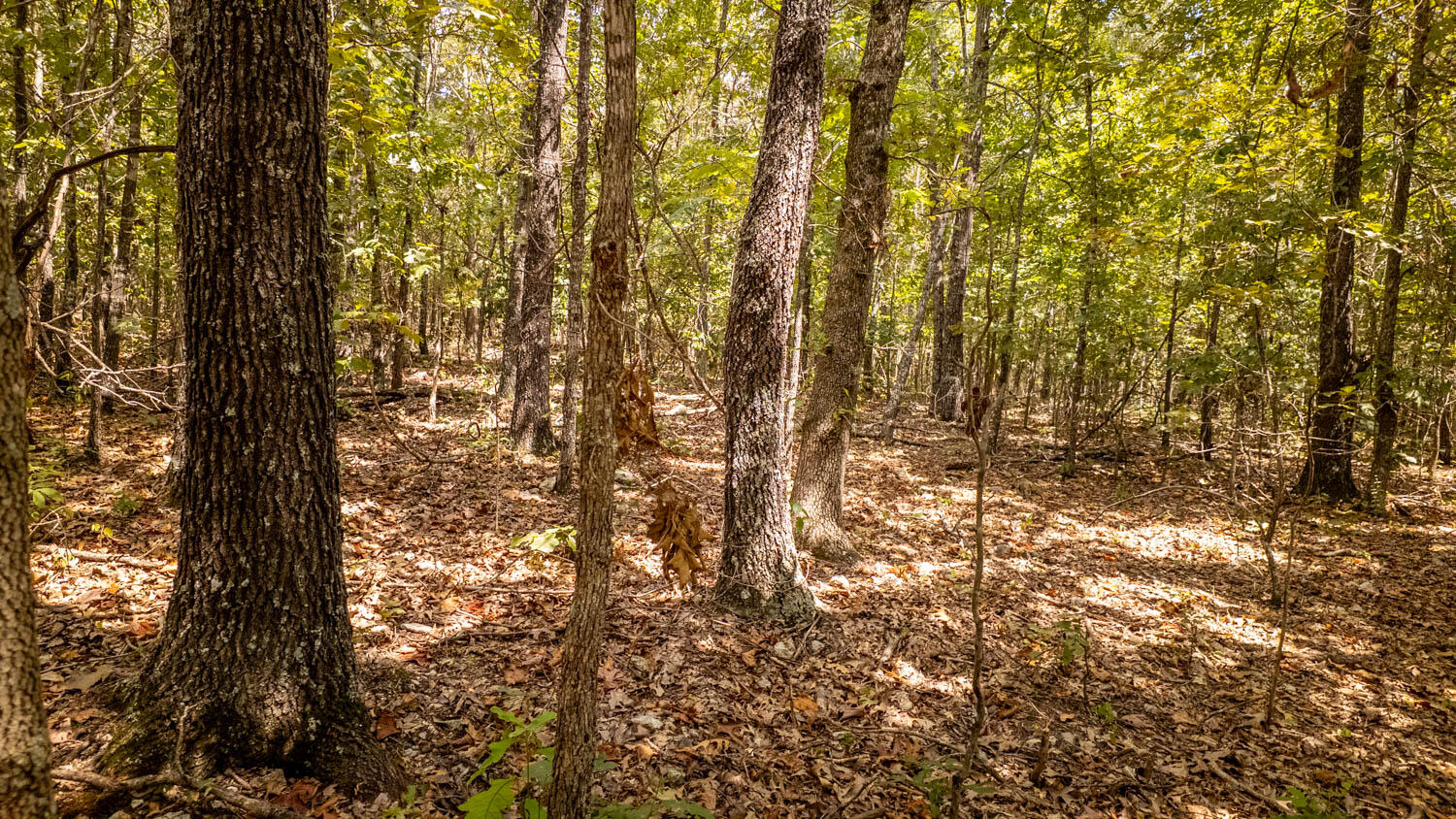 000 County Road 9640 Property Photo 1