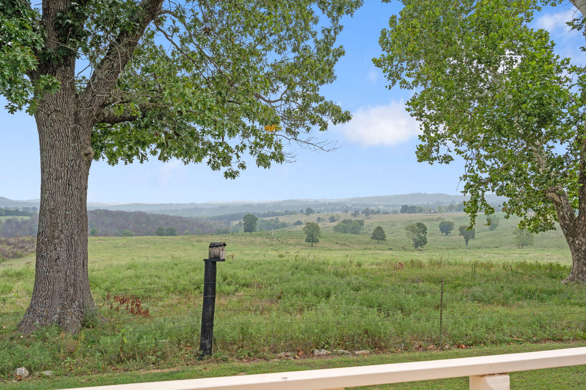 24352 State Hwy Ee Property Photo 81