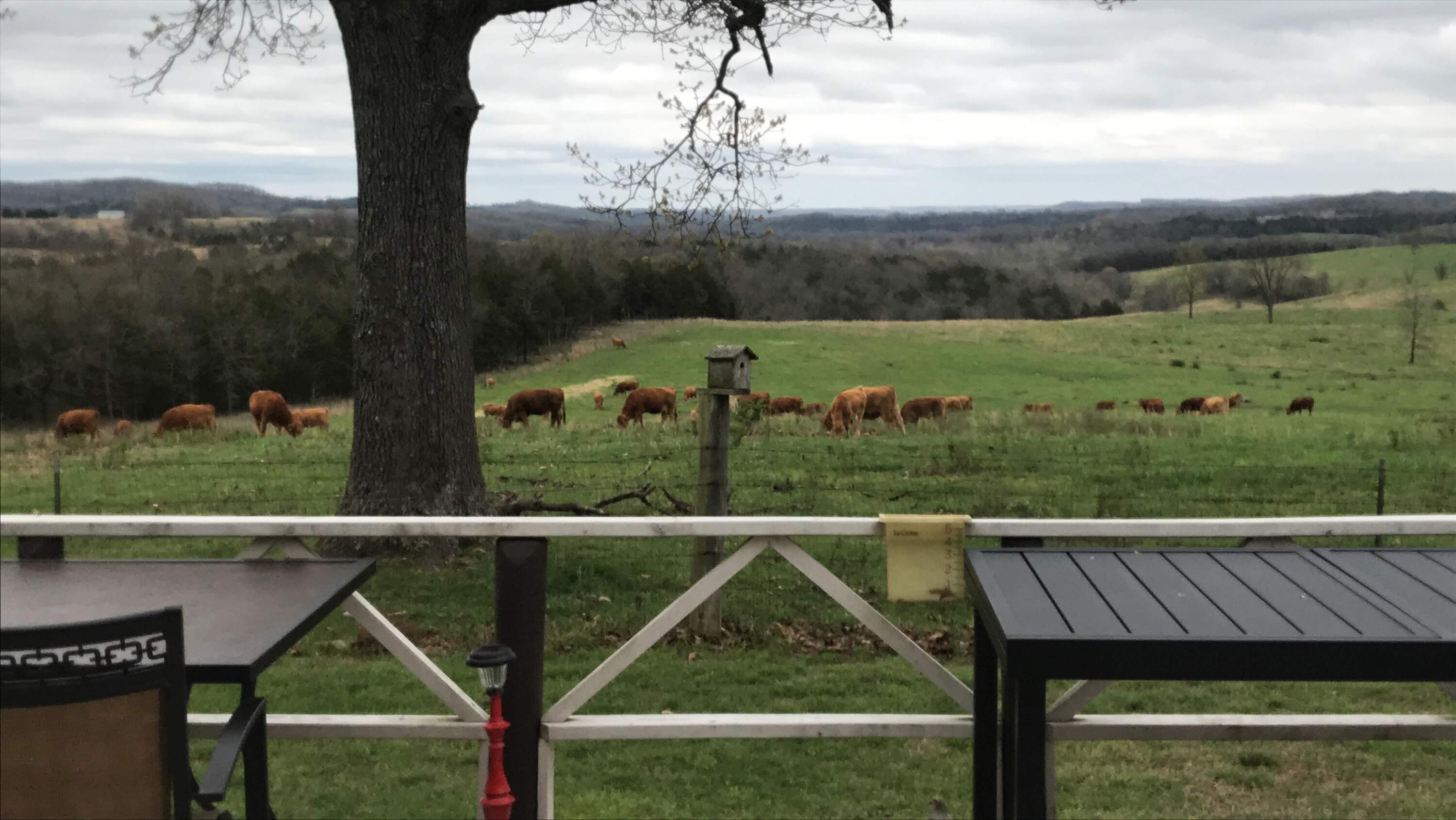 24352 State Hwy Ee Property Photo 95