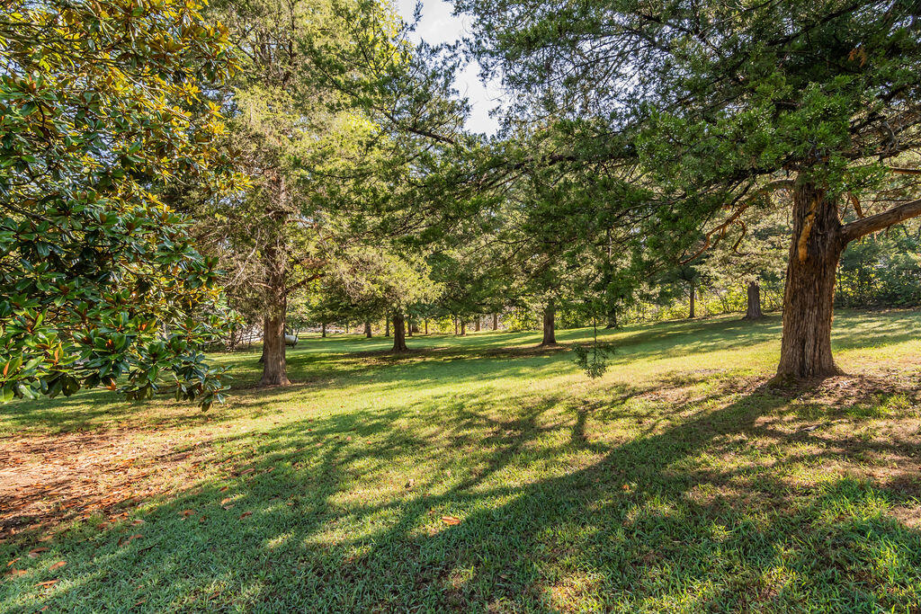 161 Brewster Road Property Photo 4