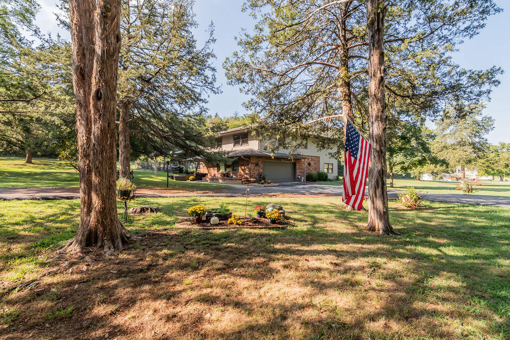 161 Brewster Road Property Photo 5