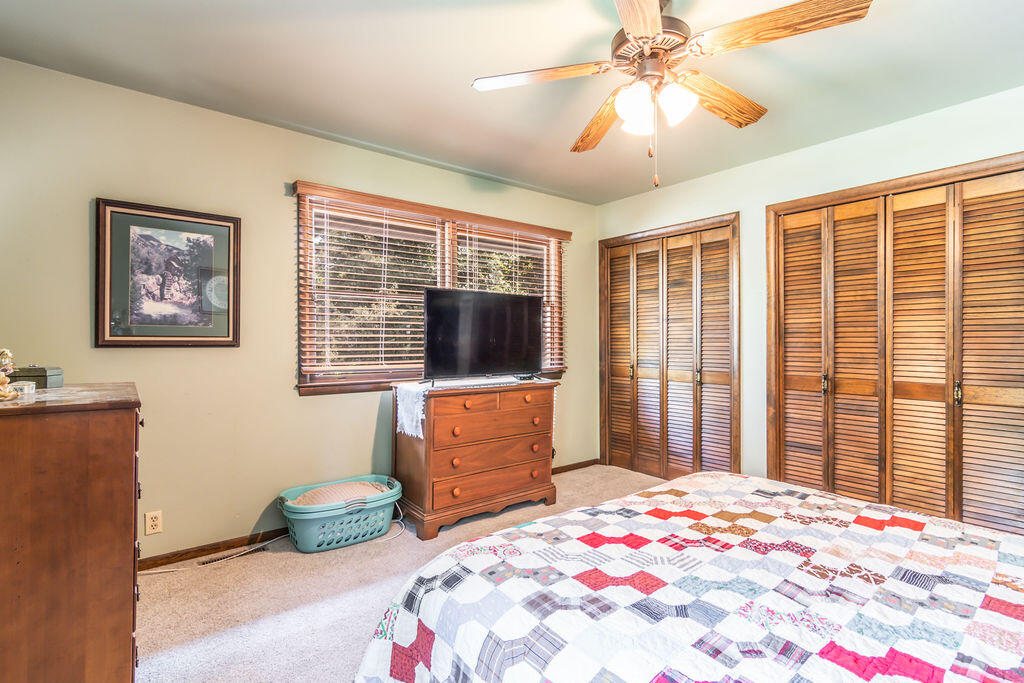 161 Brewster Road Property Photo 22