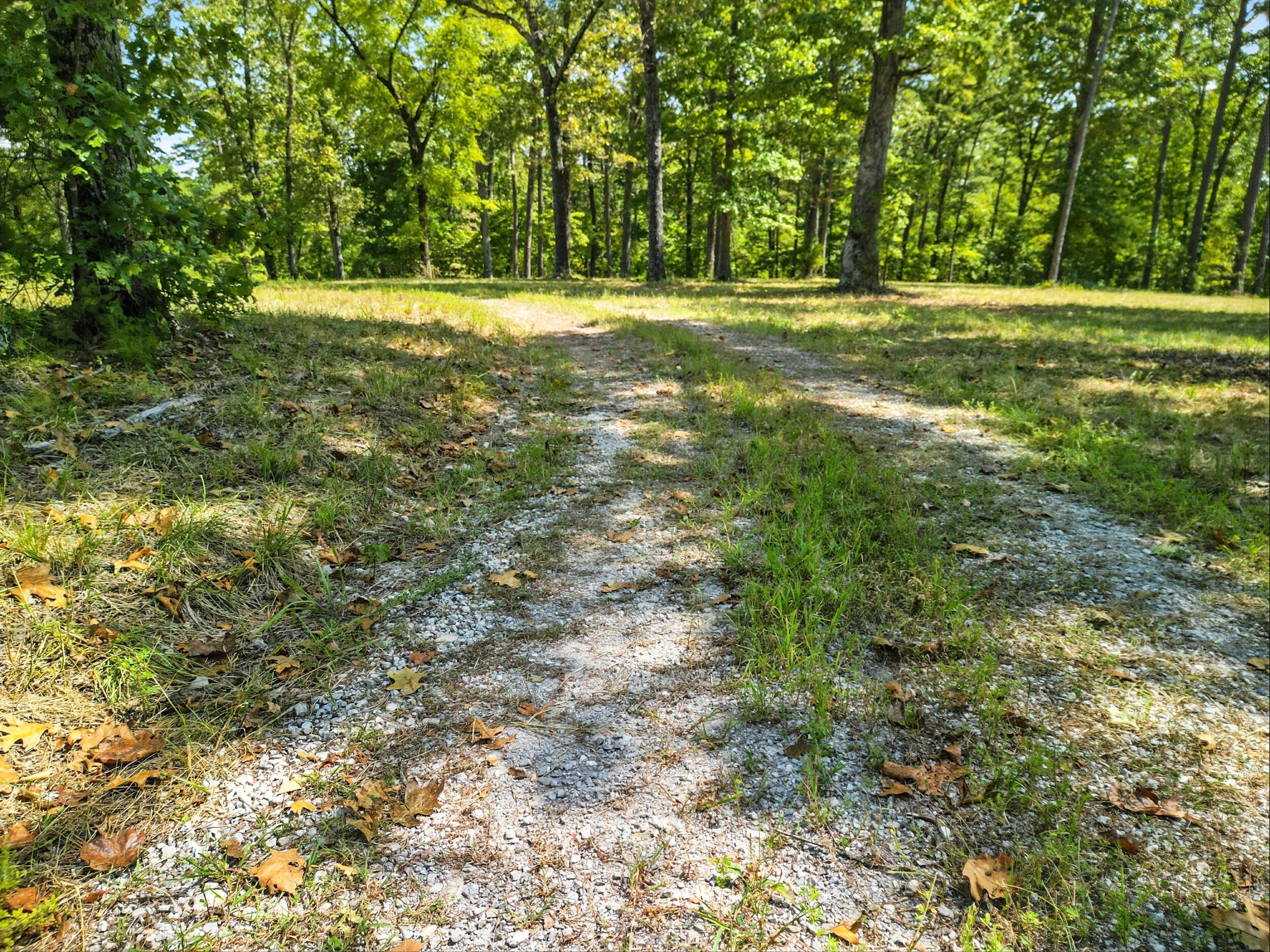 838 Alpha Drive Property Photo 25
