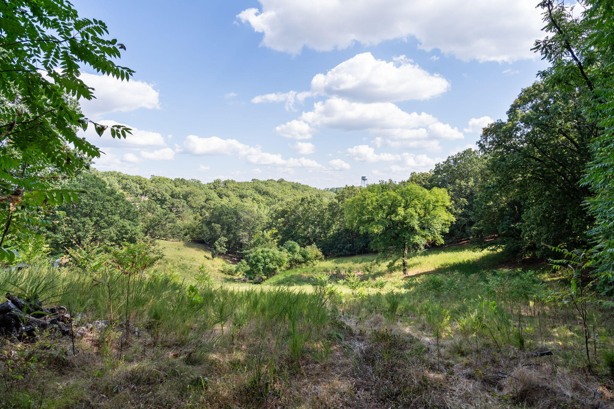 3839 State Highway 265 Property Photo 10
