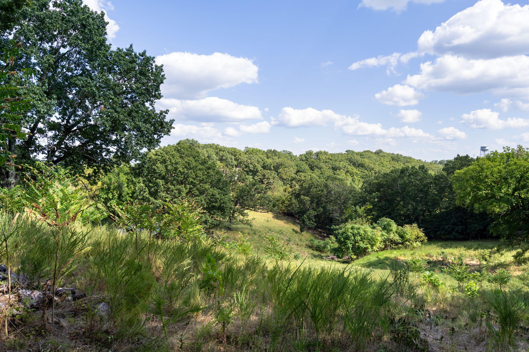 3839 State Highway 265 Property Photo 15