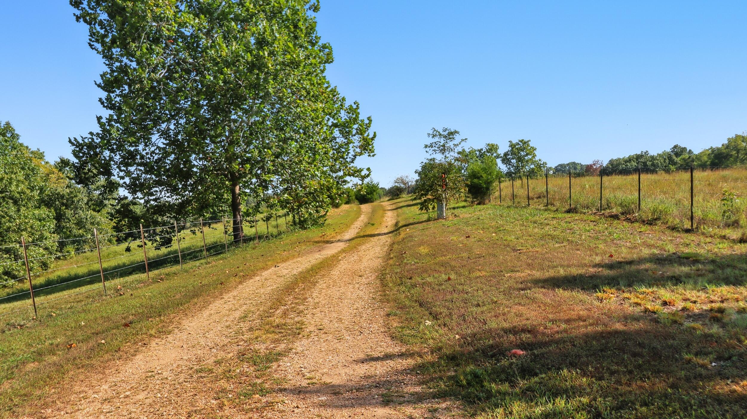 31741 County Road 95-150 Property Photo 2