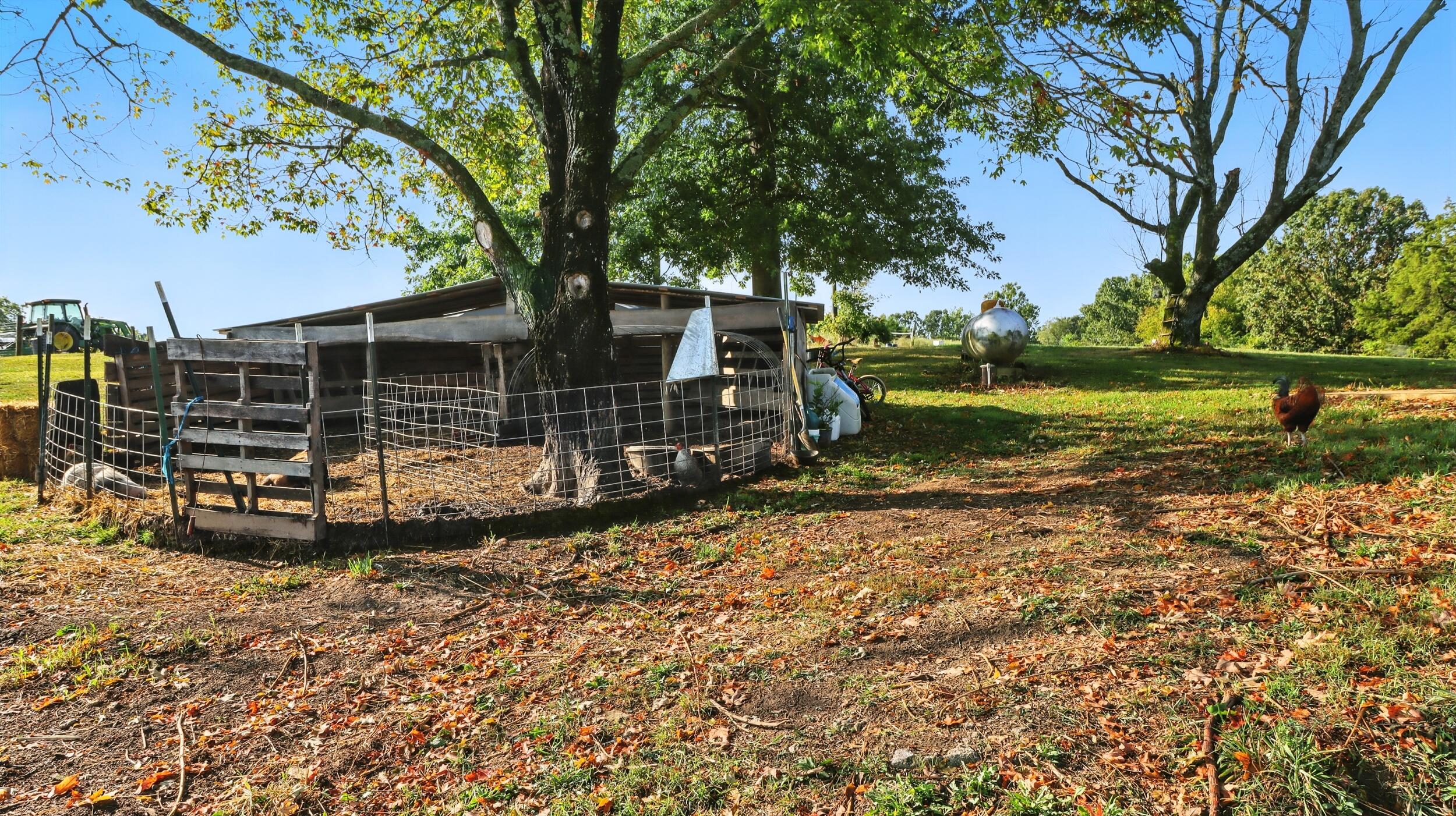 31741 County Road 95-150 Property Photo 29