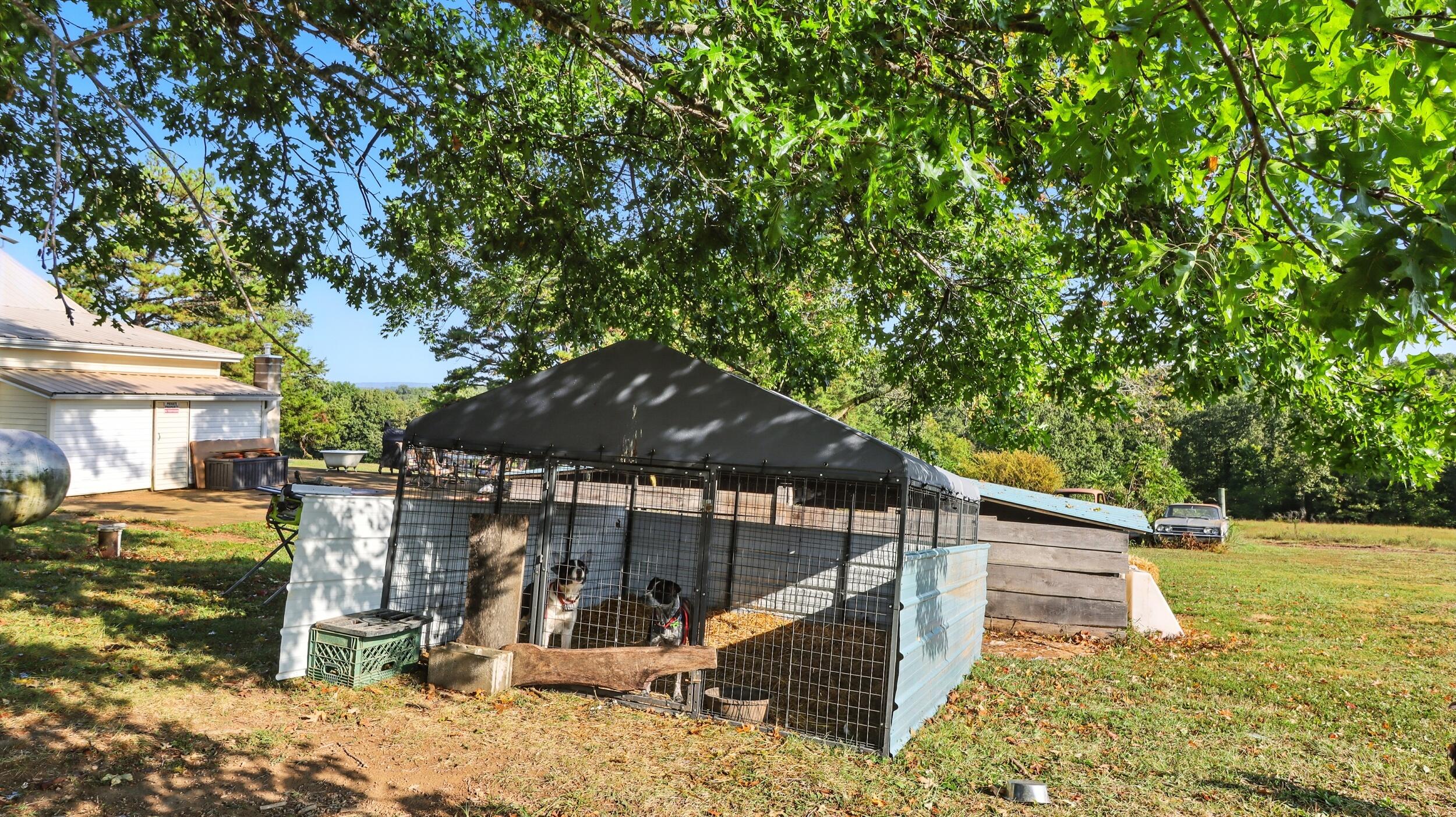 31741 County Road 95-150 Property Photo 30