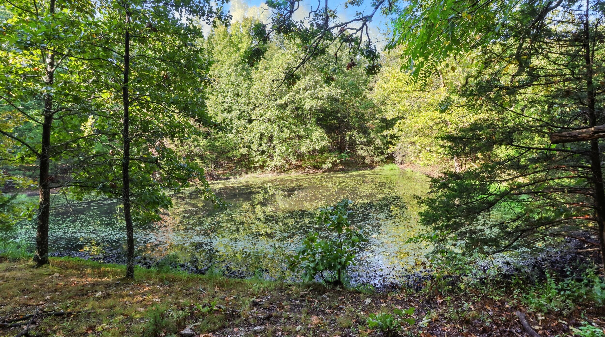 31741 County Road 95-150 Property Photo 33