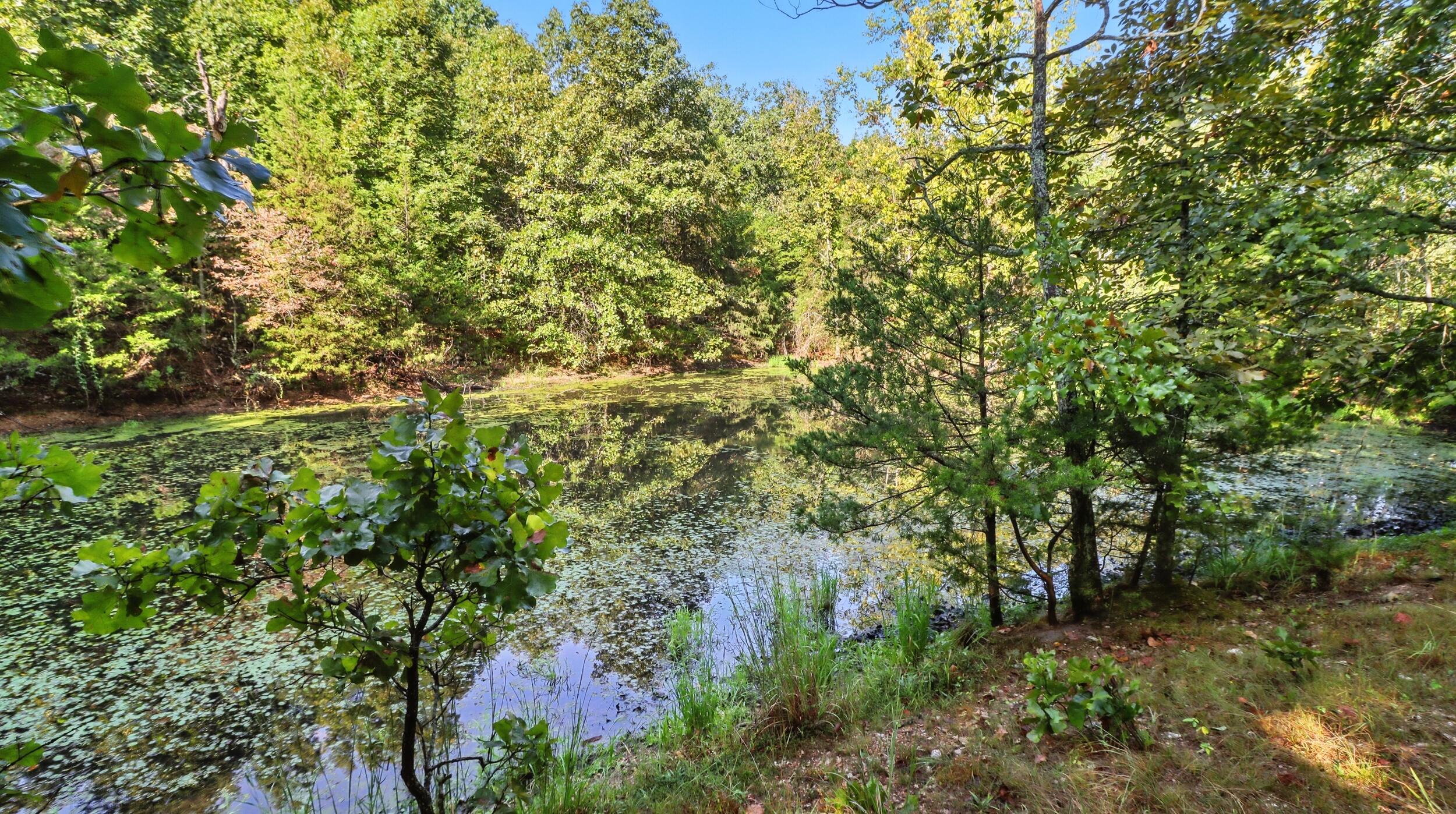 31741 County Road 95-150 Property Photo 34