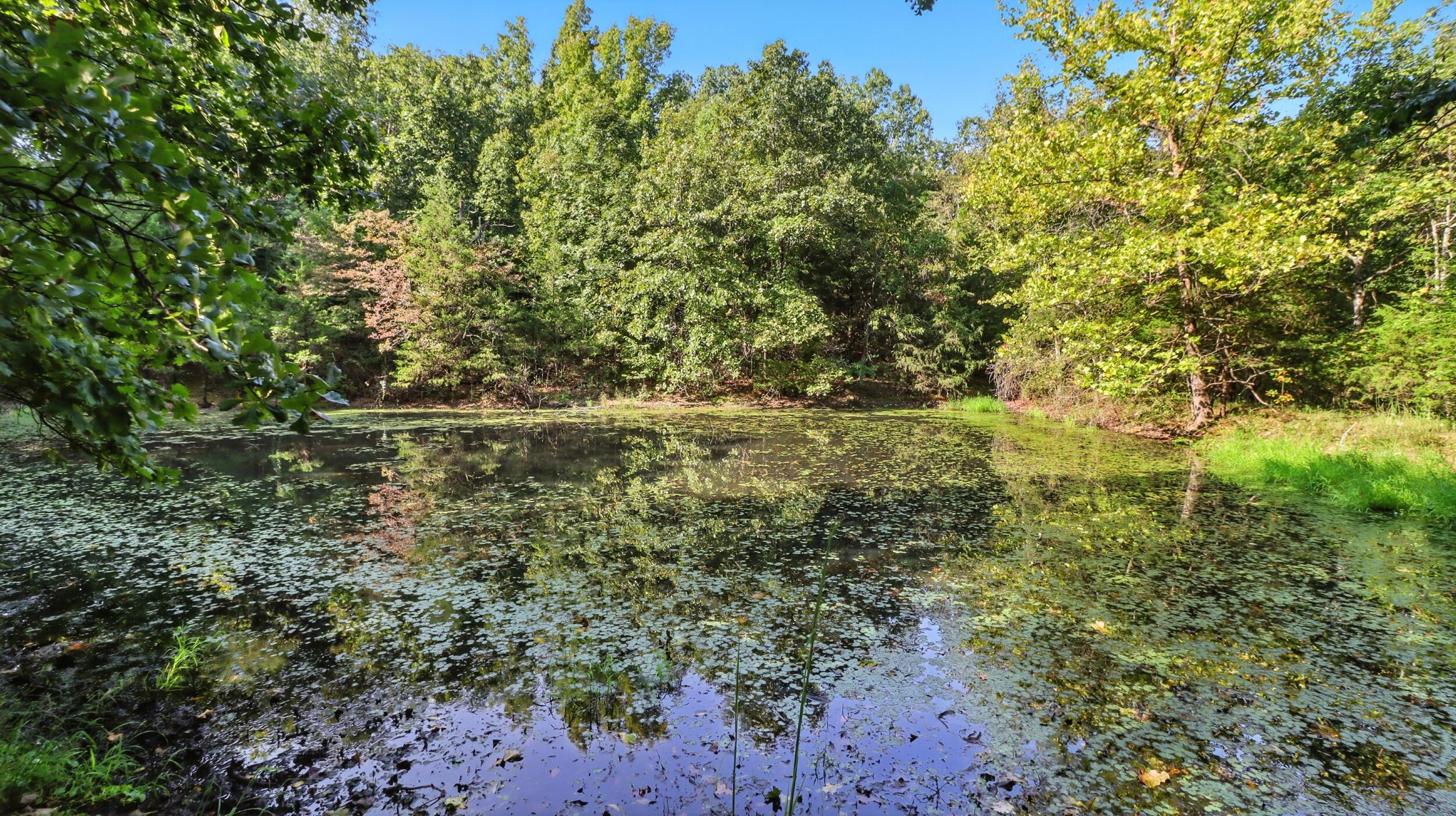 31741 County Road 95-150 Property Photo 35