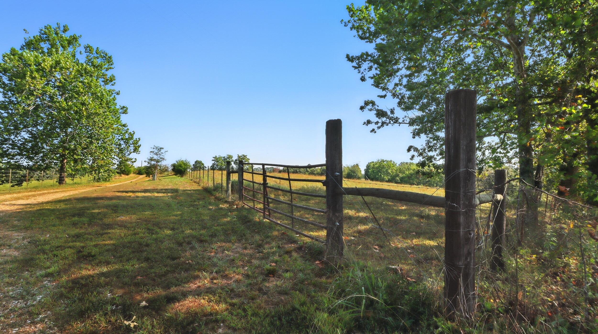 31741 County Road 95-150 Property Photo 36