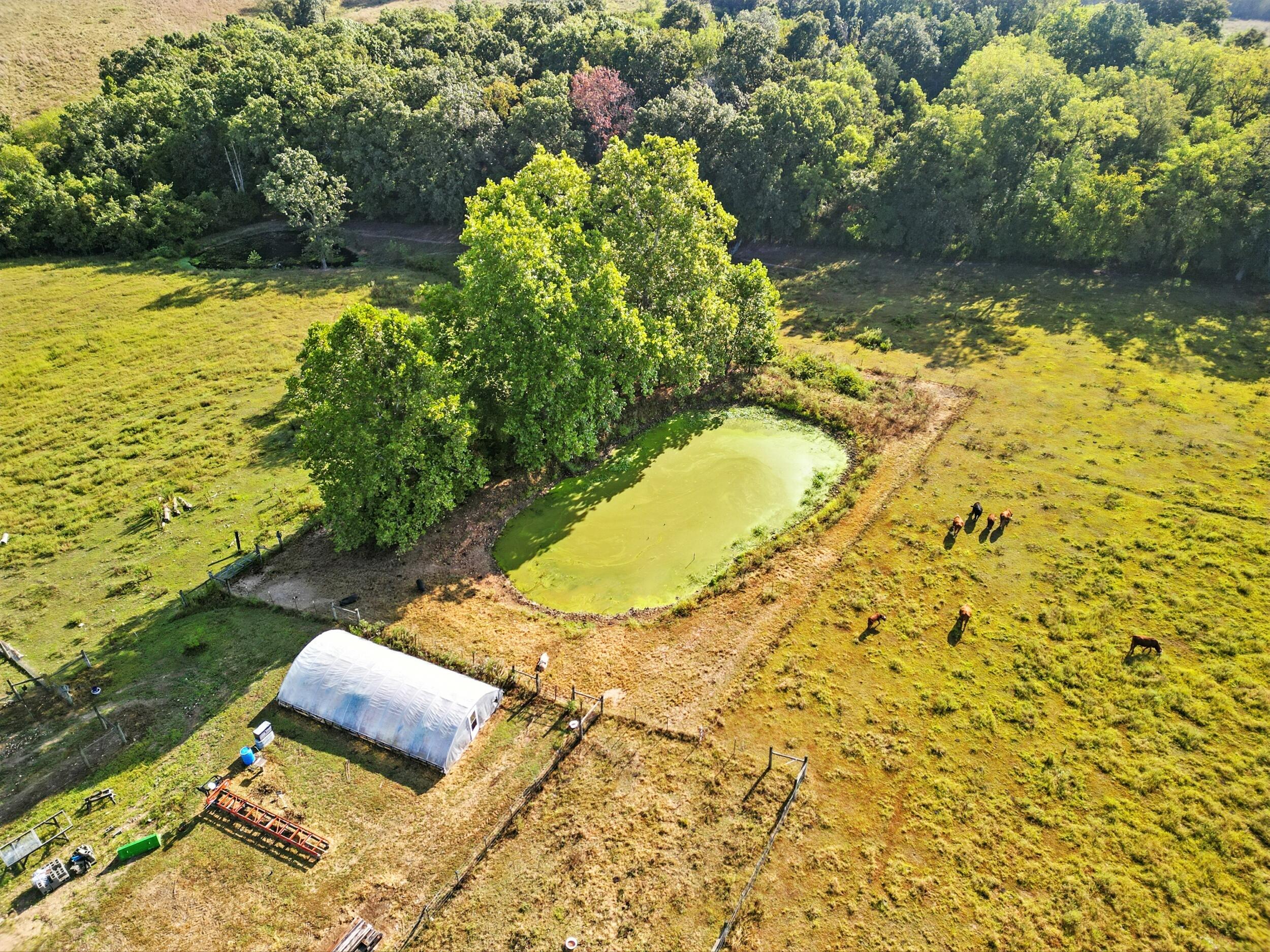 31741 County Road 95-150 Property Photo 37