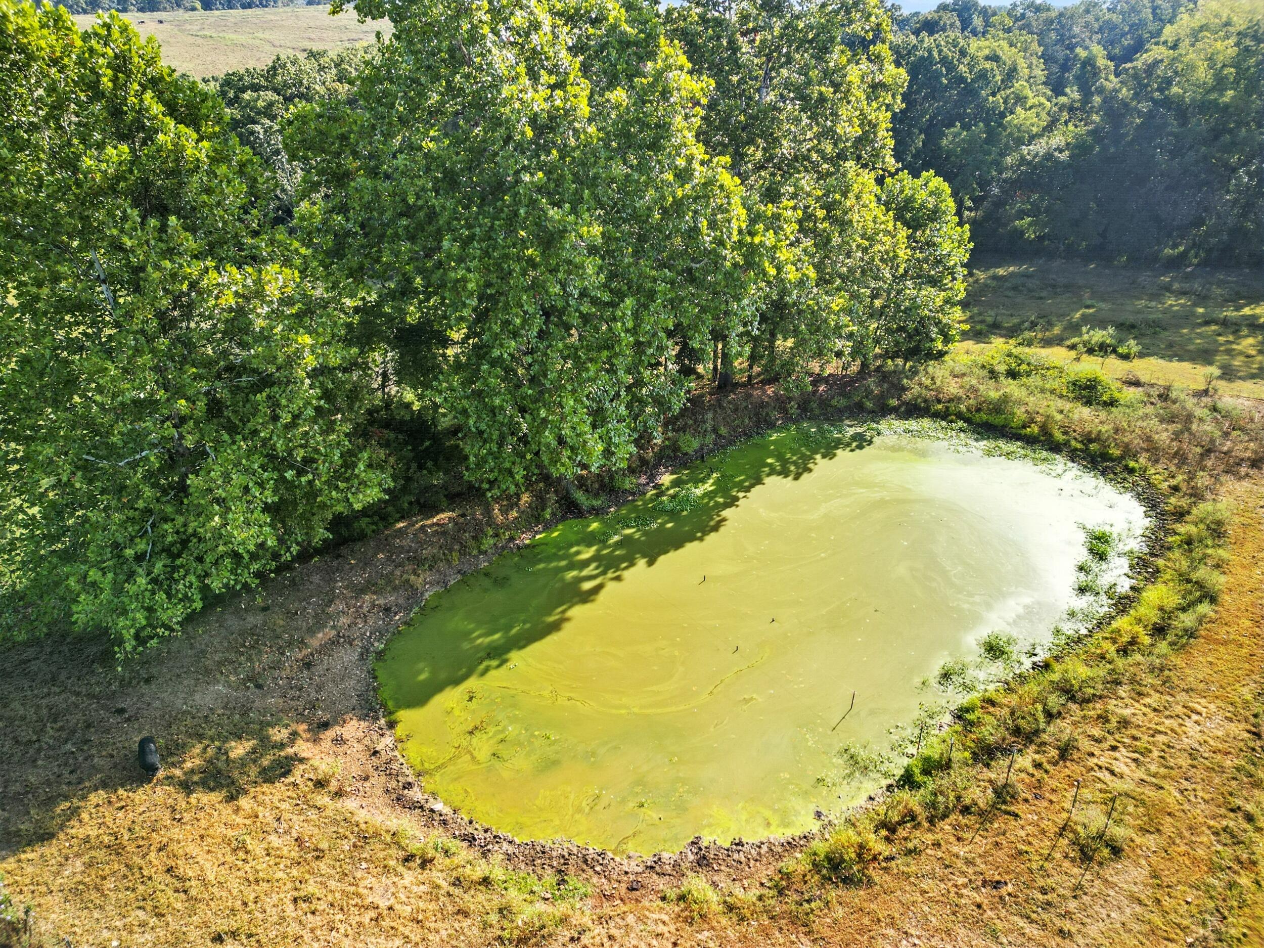 31741 County Road 95-150 Property Photo 38