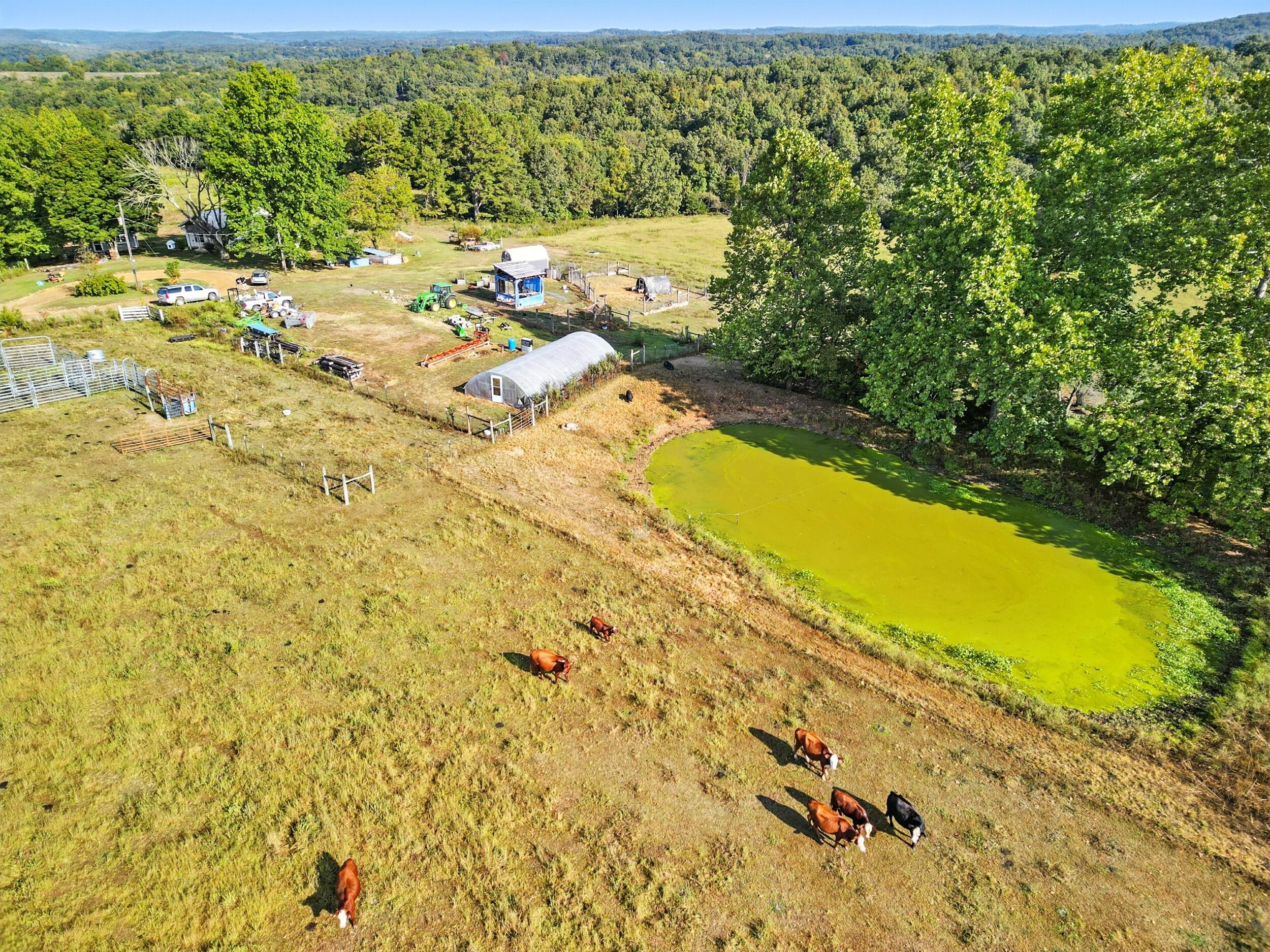 31741 County Road 95-150 Property Photo 39