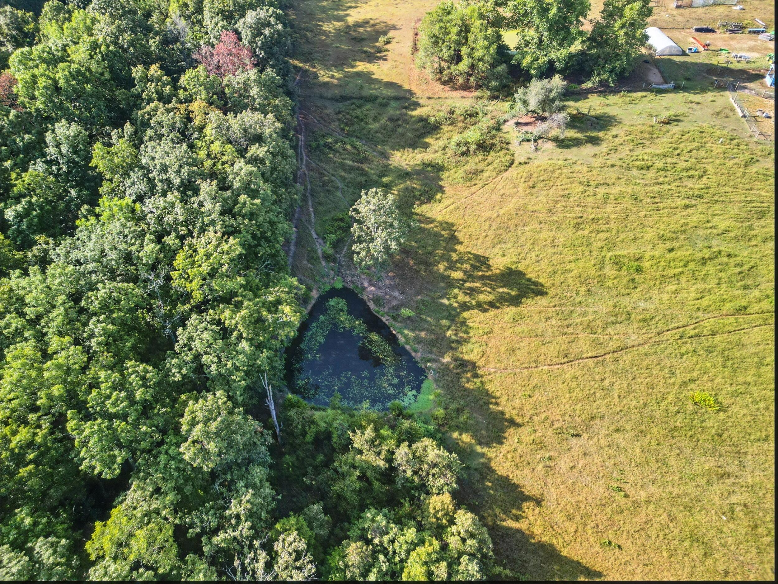 31741 County Road 95-150 Property Photo 40