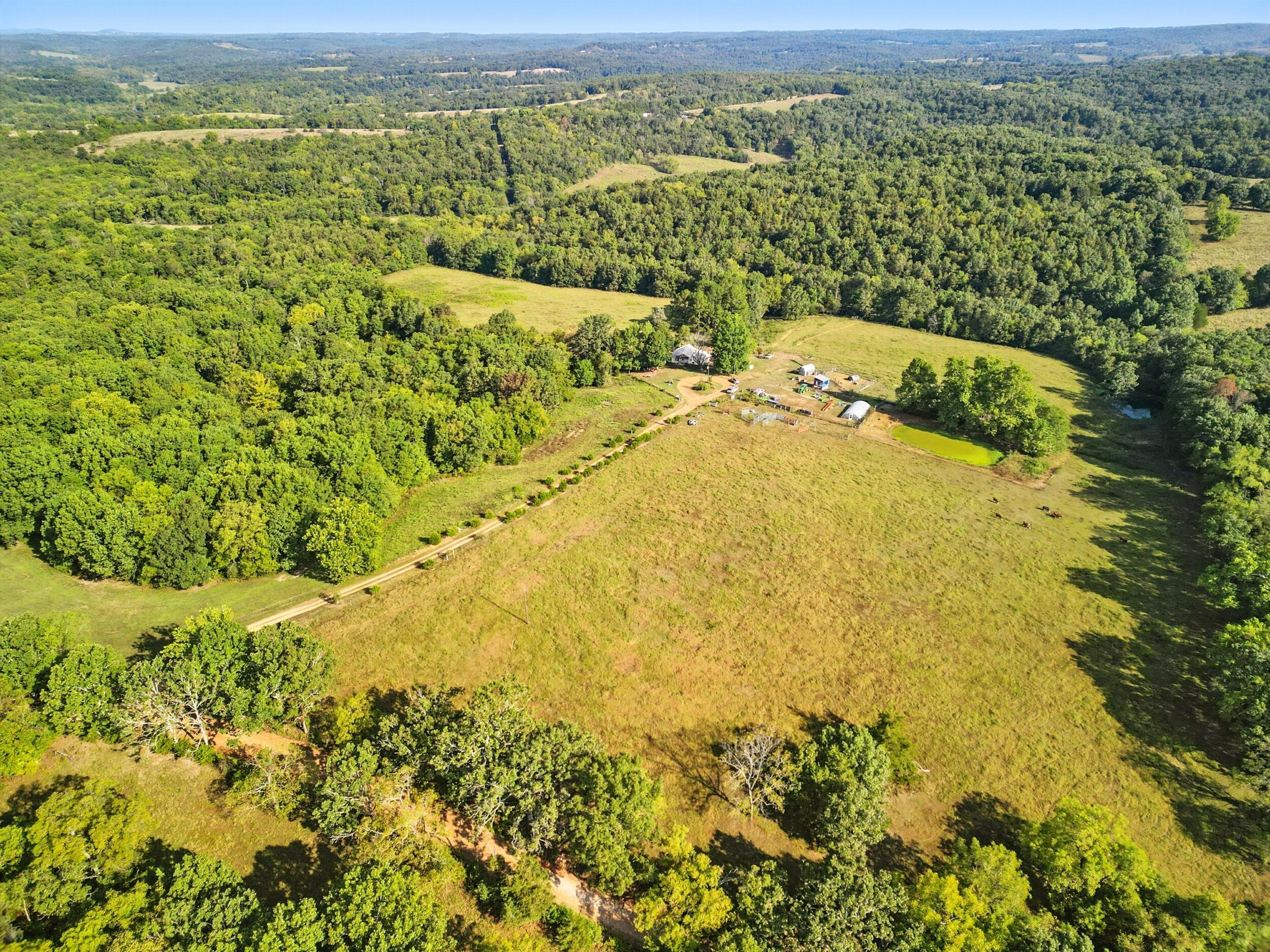 31741 County Road 95-150 Property Photo 41