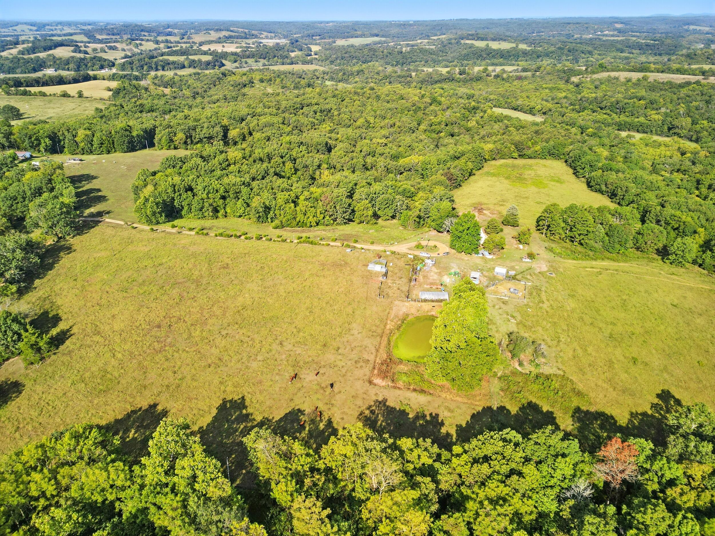 31741 County Road 95-150 Property Photo 42