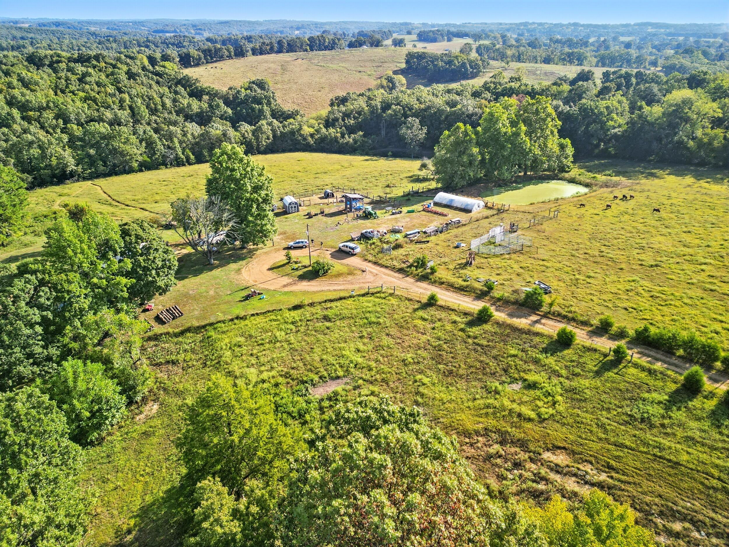 31741 County Road 95-150 Property Photo 46