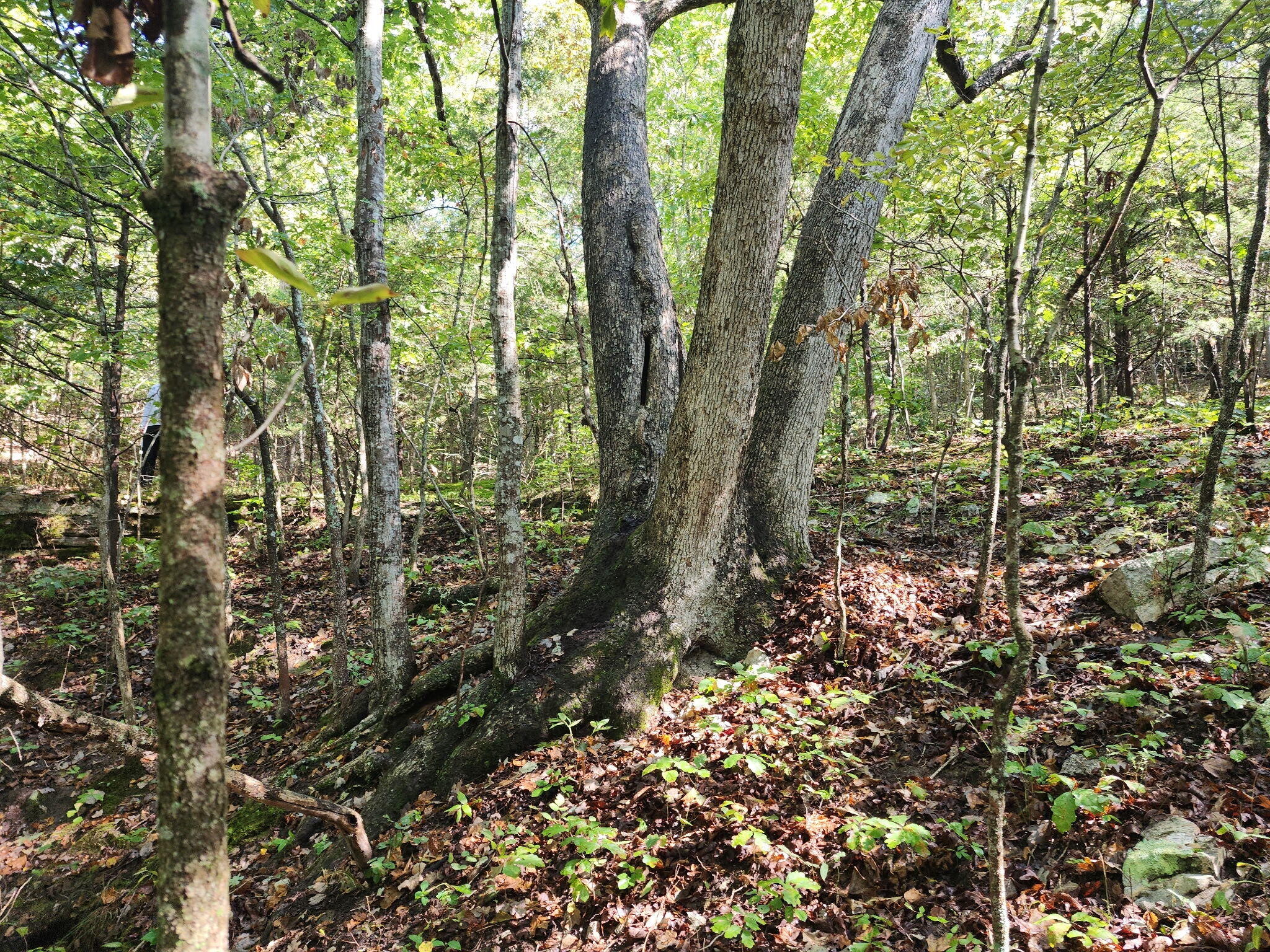 31741 County Road 95-150 Property Photo 48