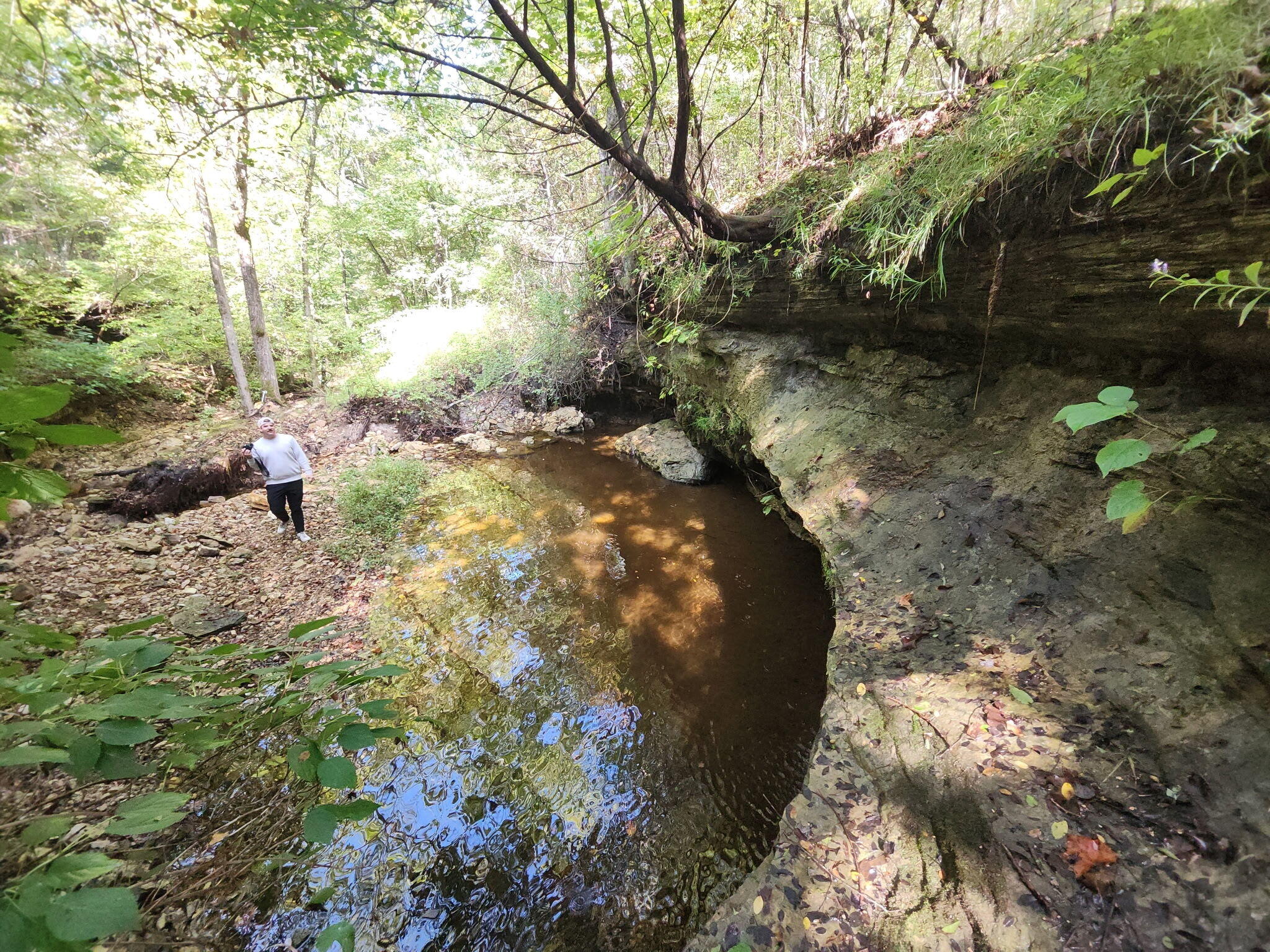 31741 County Road 95-150 Property Photo 49