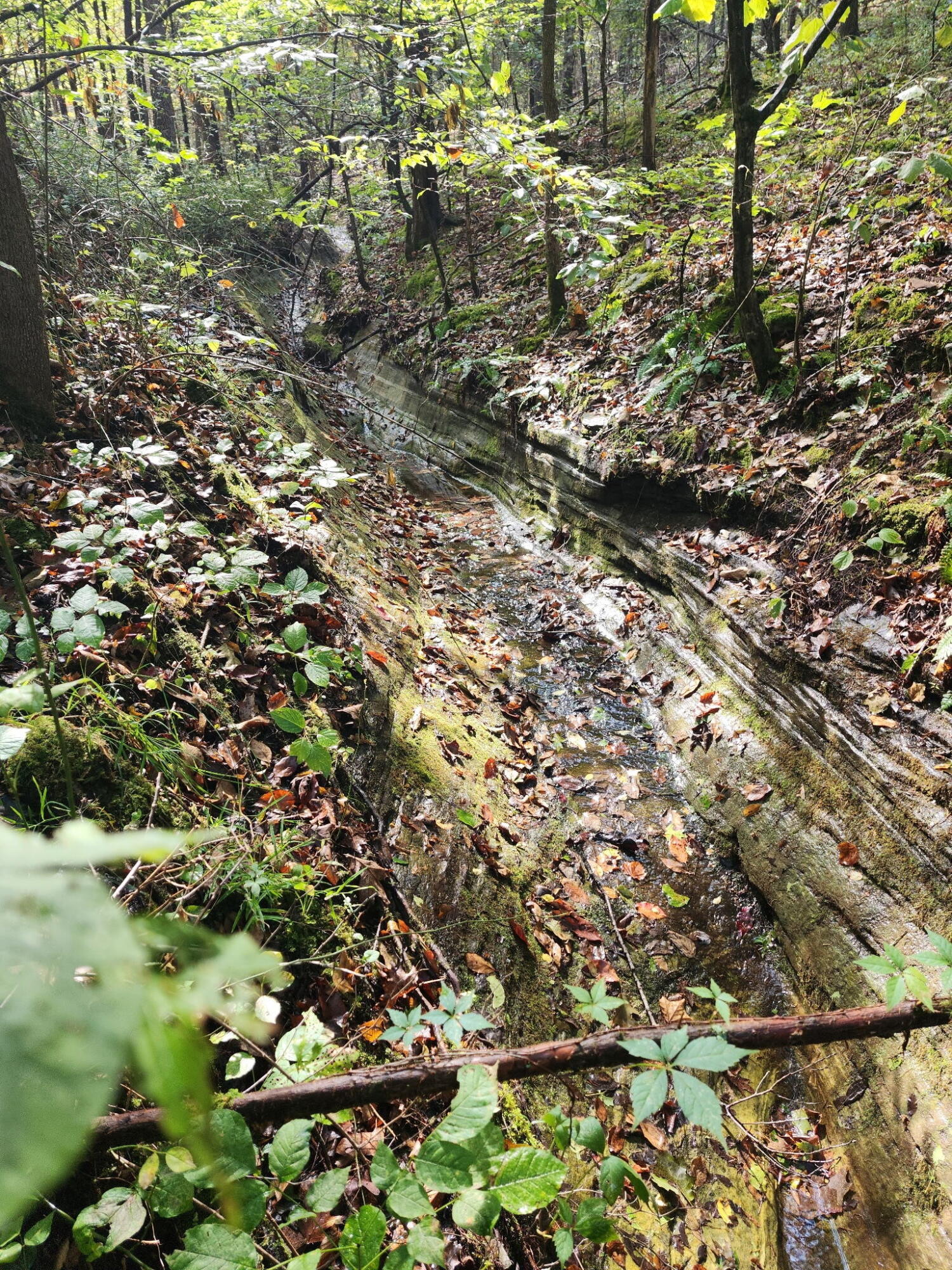 31741 County Road 95-150 Property Photo 50