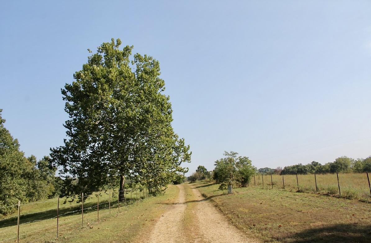 31741 County Road 95-150 Property Photo 52