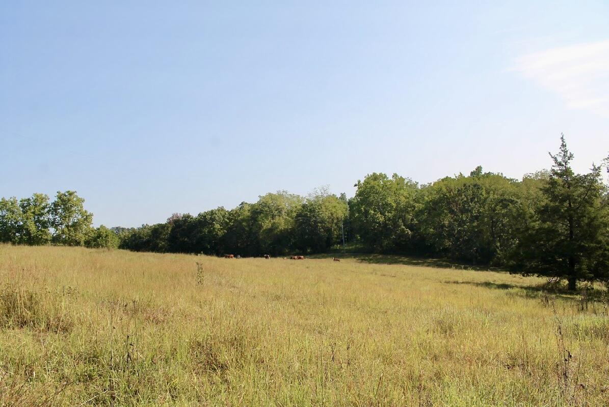 31741 County Road 95-150 Property Photo 53