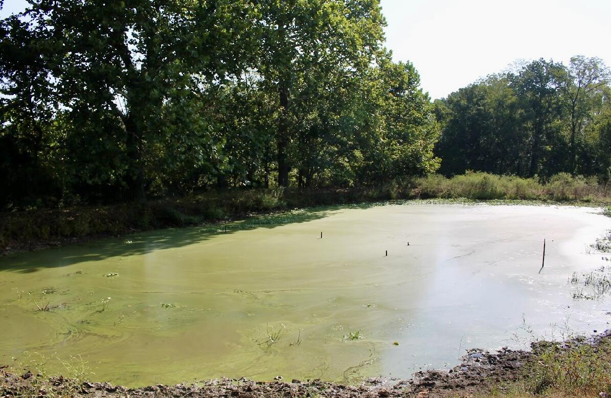 31741 County Road 95-150 Property Photo 54