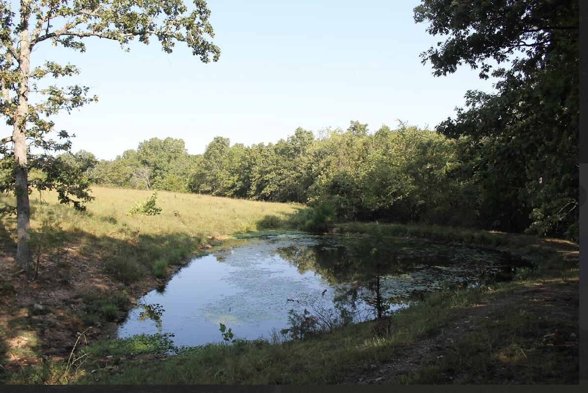 31741 County Road 95-150 Property Photo 55