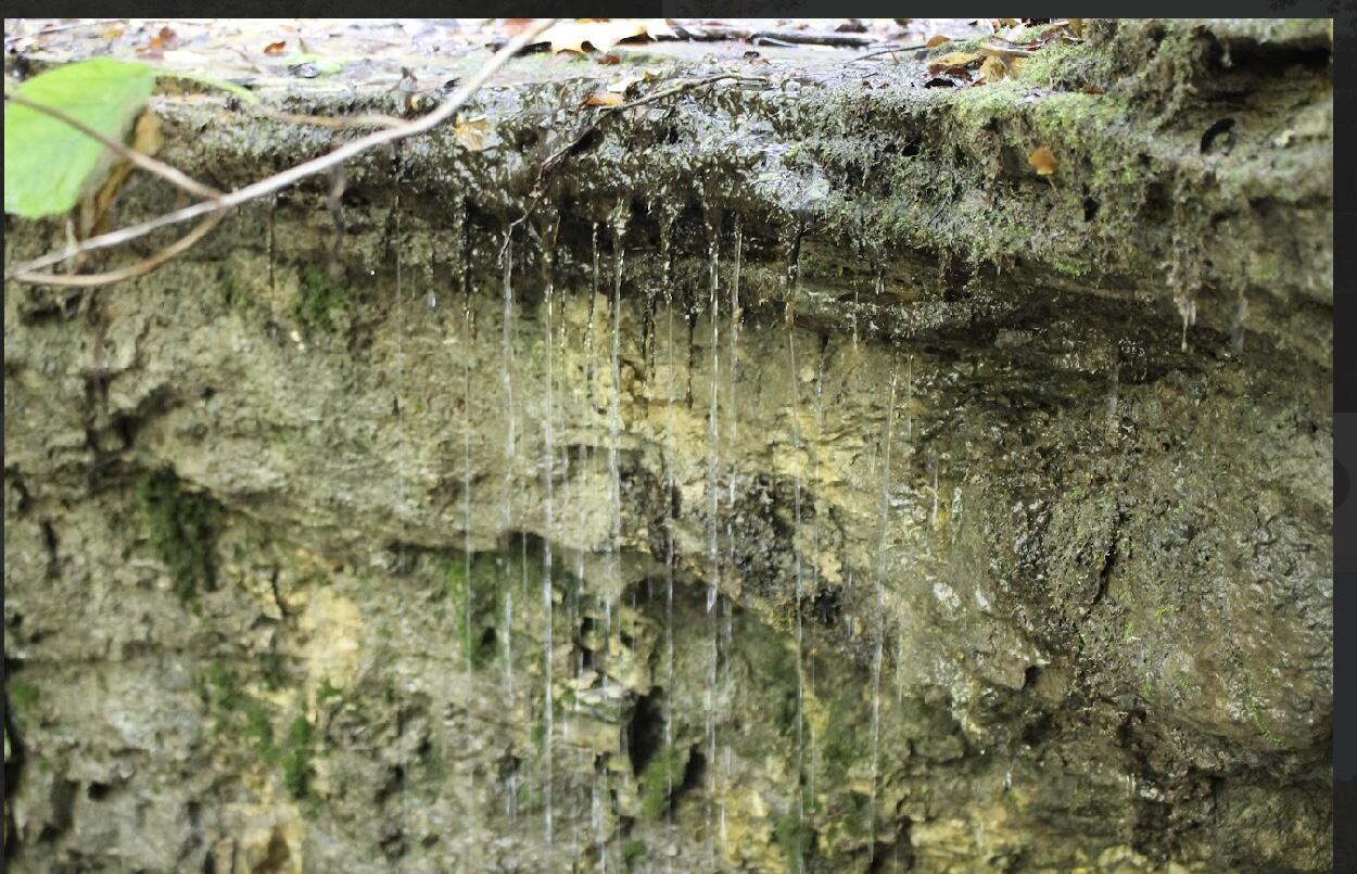 31741 County Road 95-150 Property Photo 57