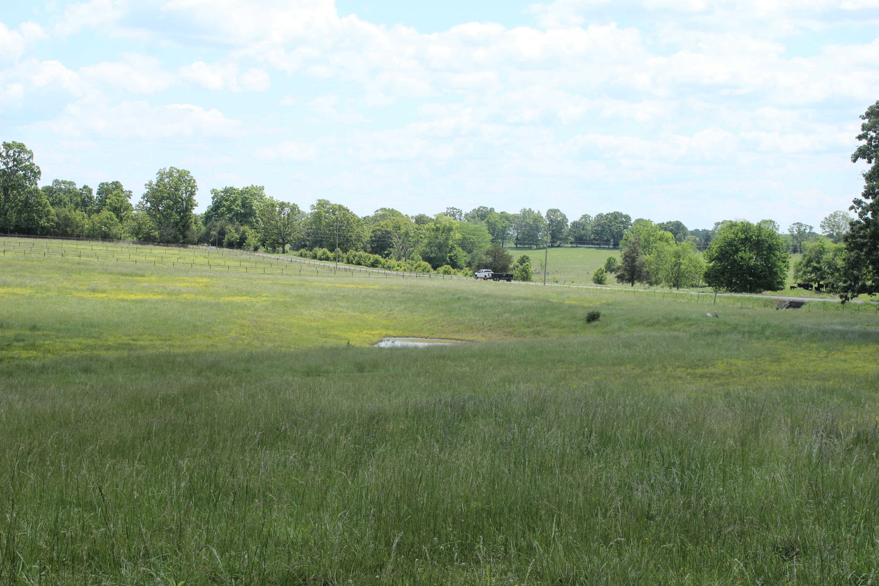 2231 W Highway Property Photo 38