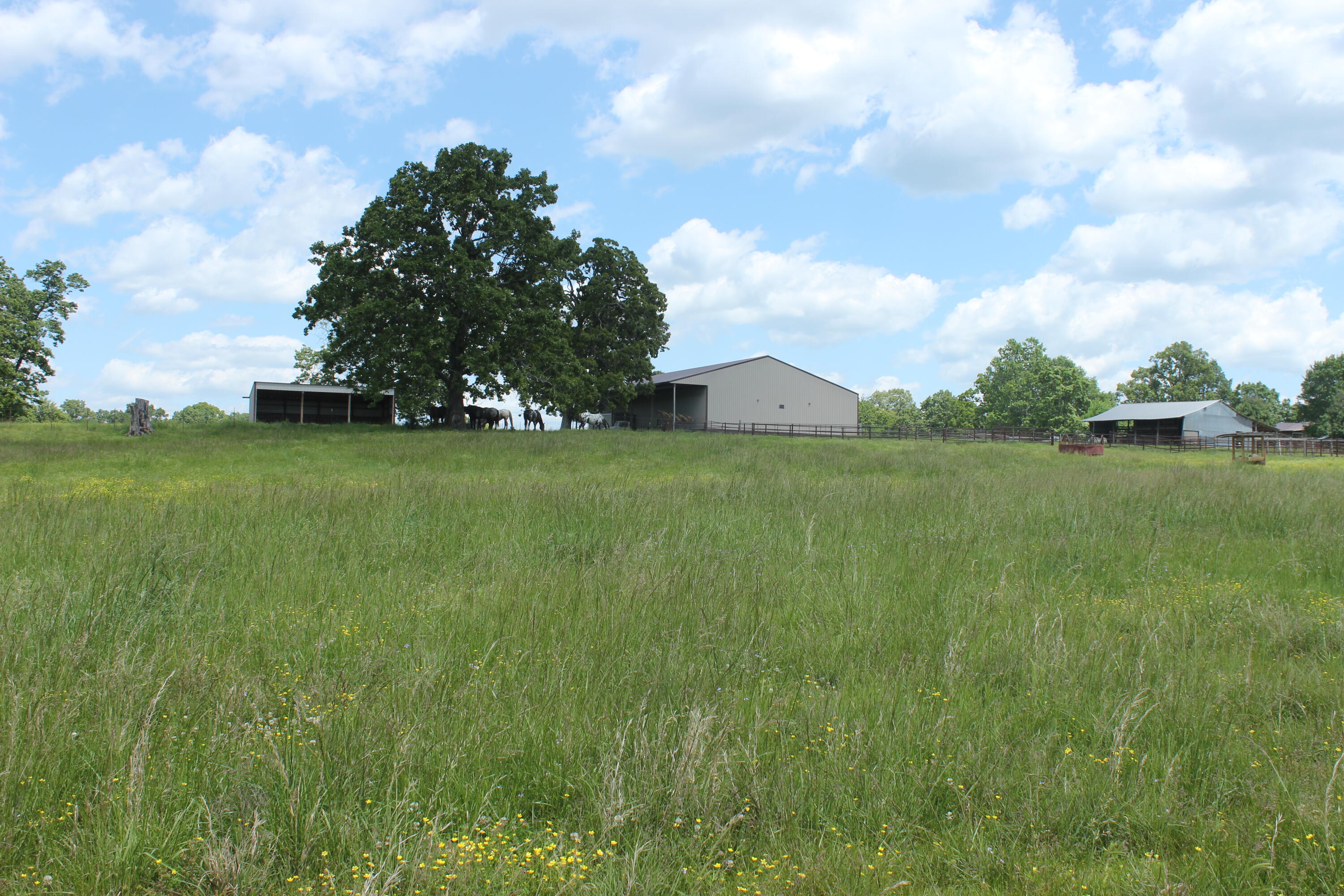 2231 W Highway Property Photo 40