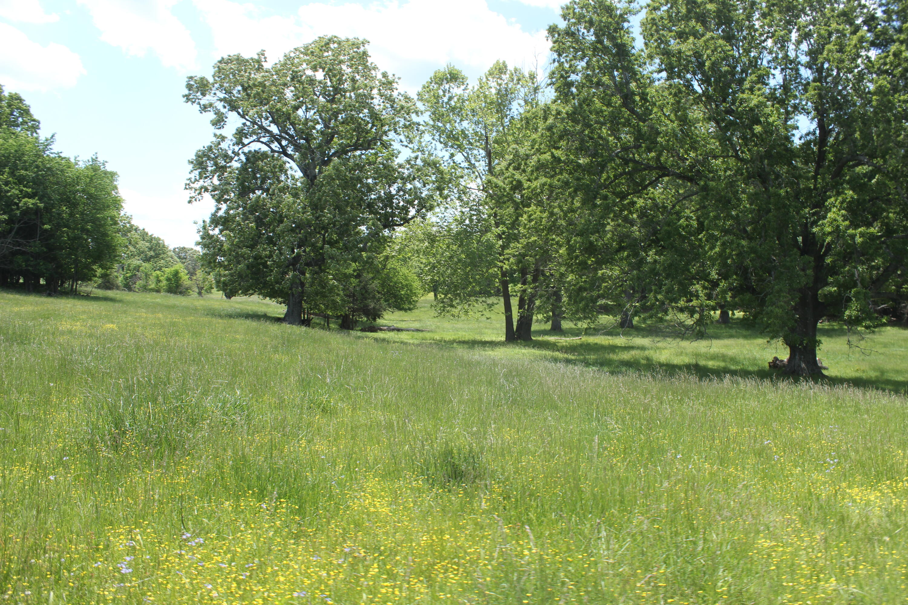 2231 W Highway Property Photo 41