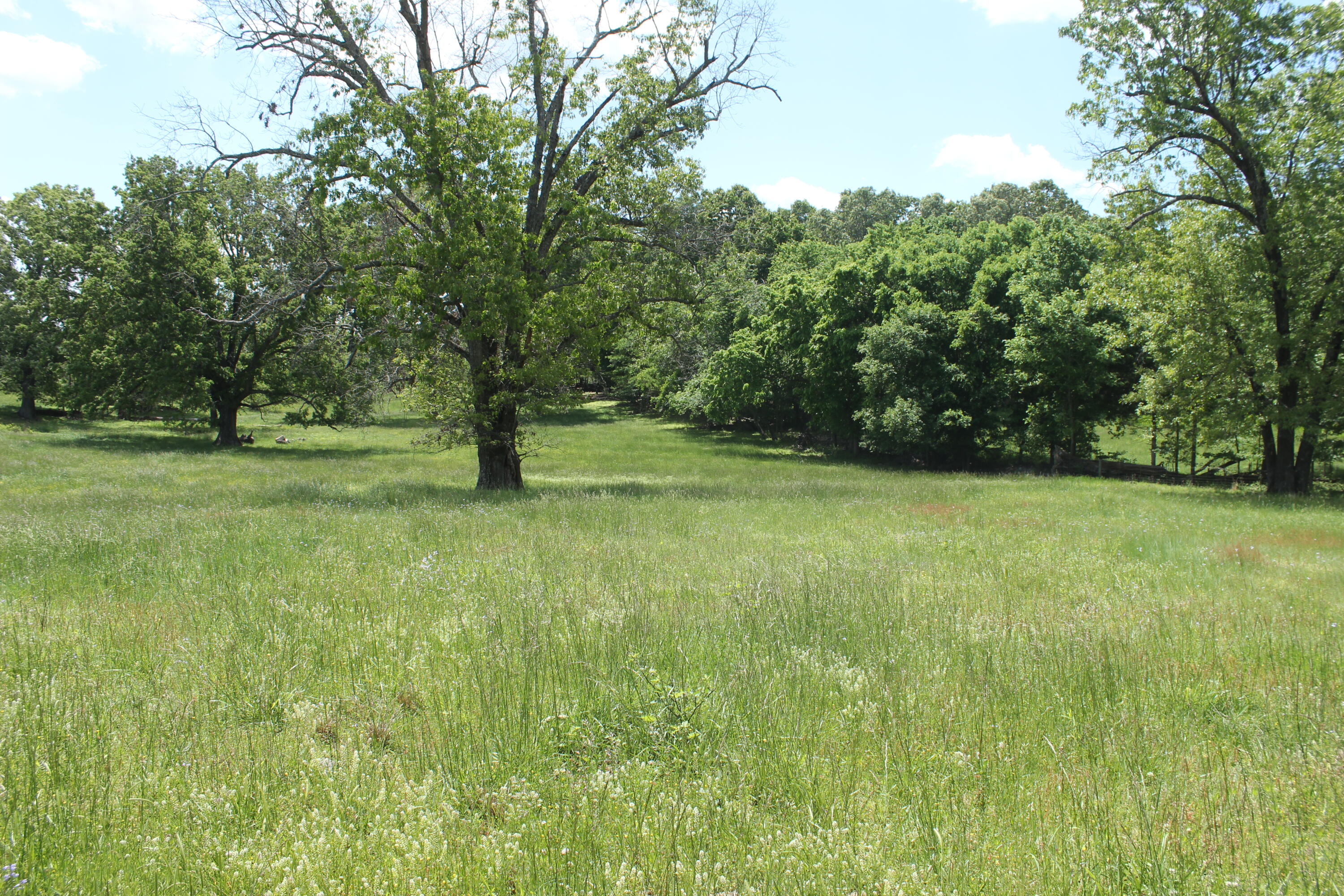 2231 W Highway Property Photo 42