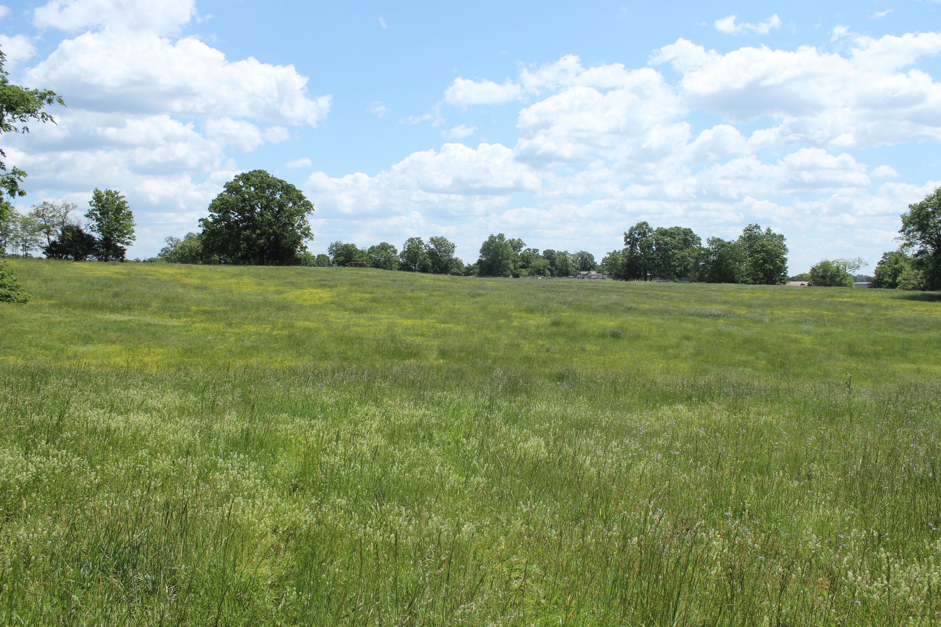 2231 W Highway Property Photo 43