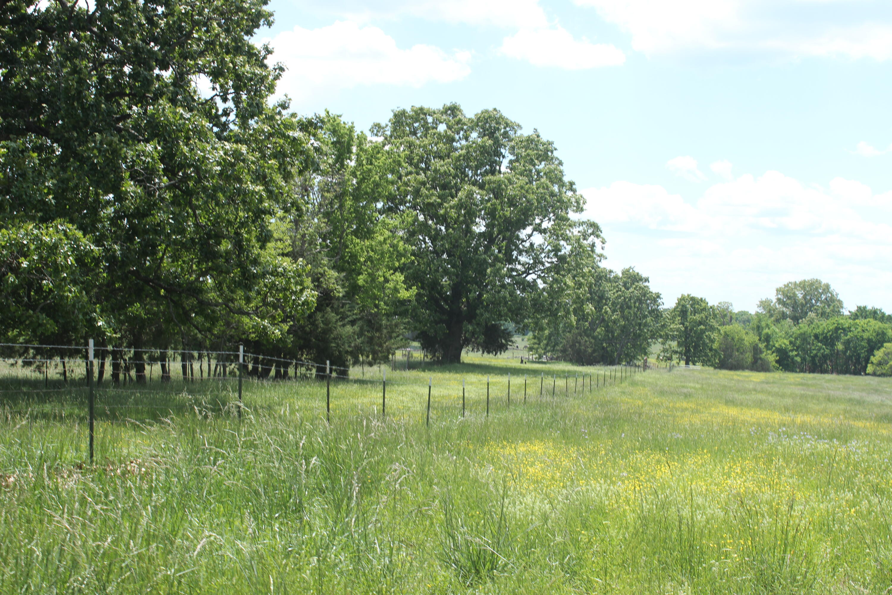 2231 W Highway Property Photo 45