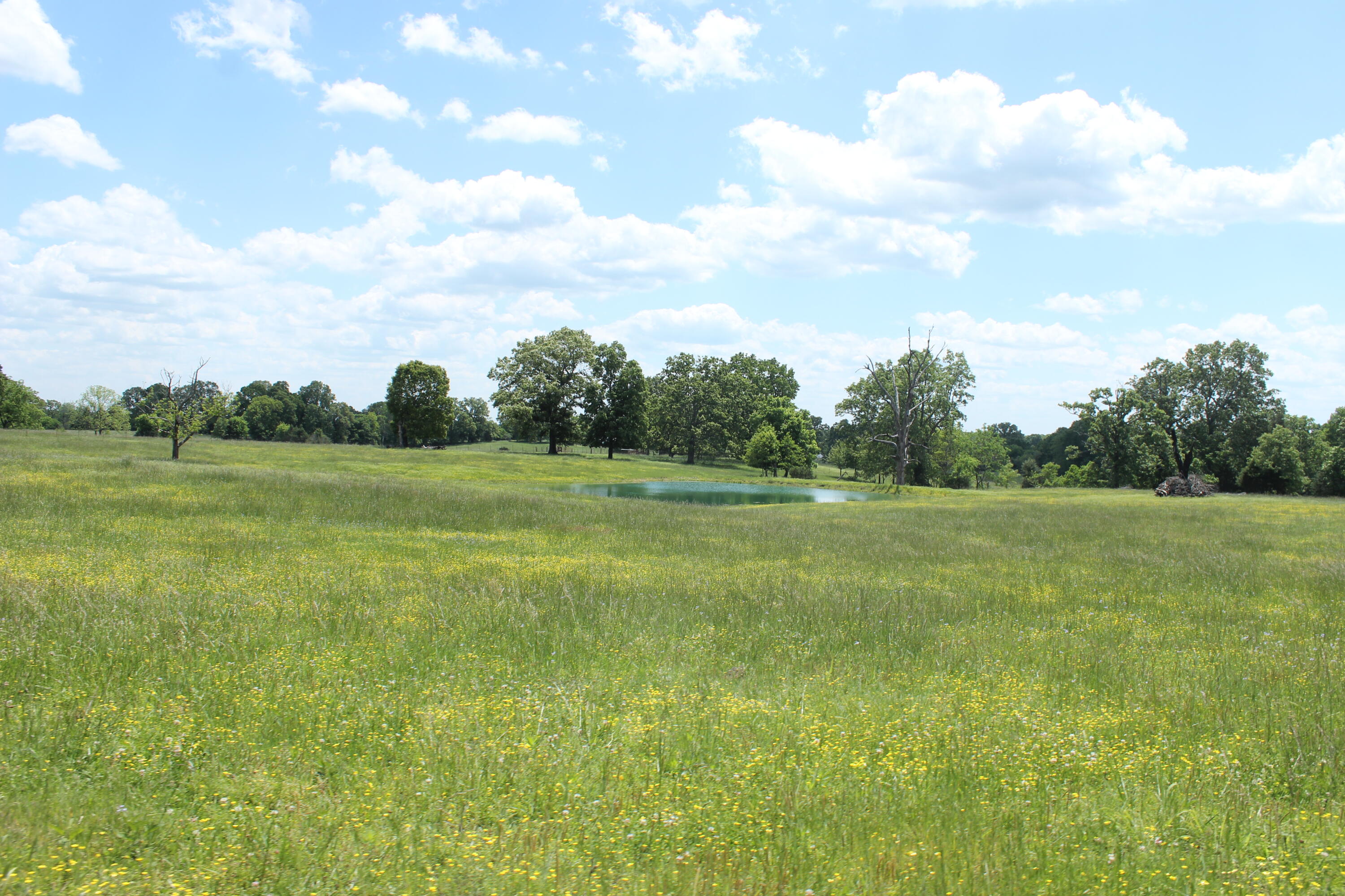 2231 W Highway Property Photo 53