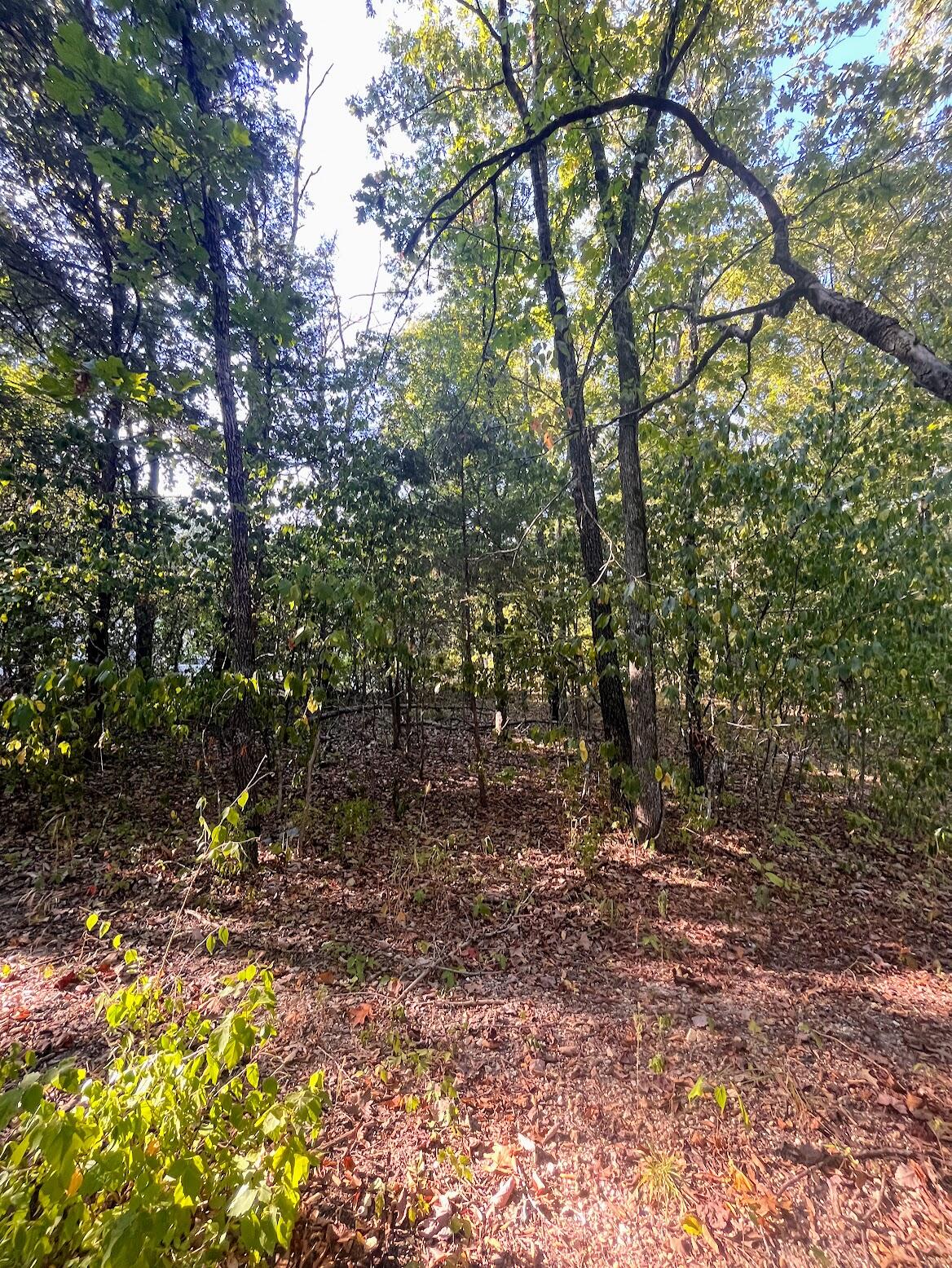 000 Hickory Avenue Property Photo 1